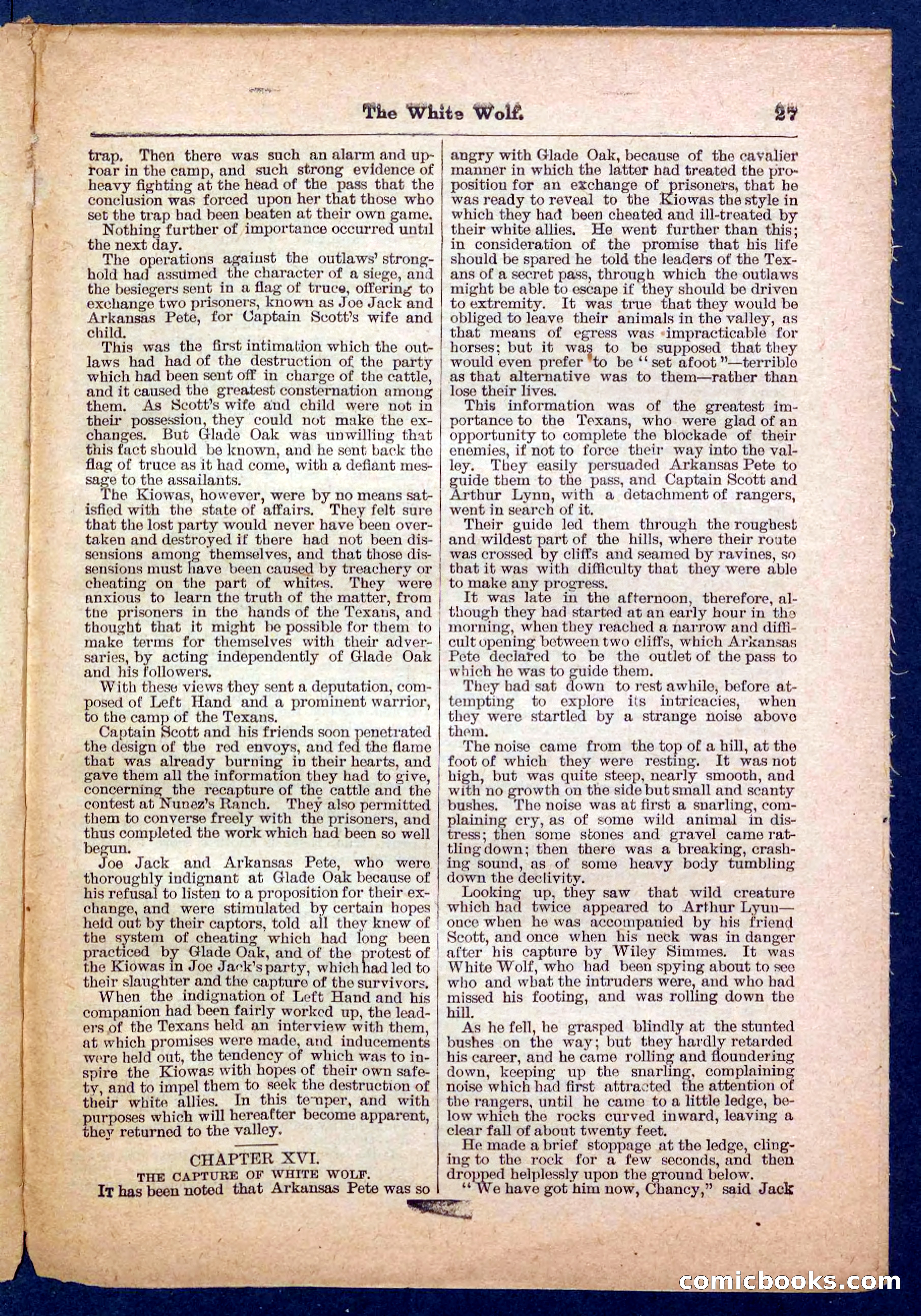 Jack Scott in Texas; or, The White Wolf — page 27 of 32
