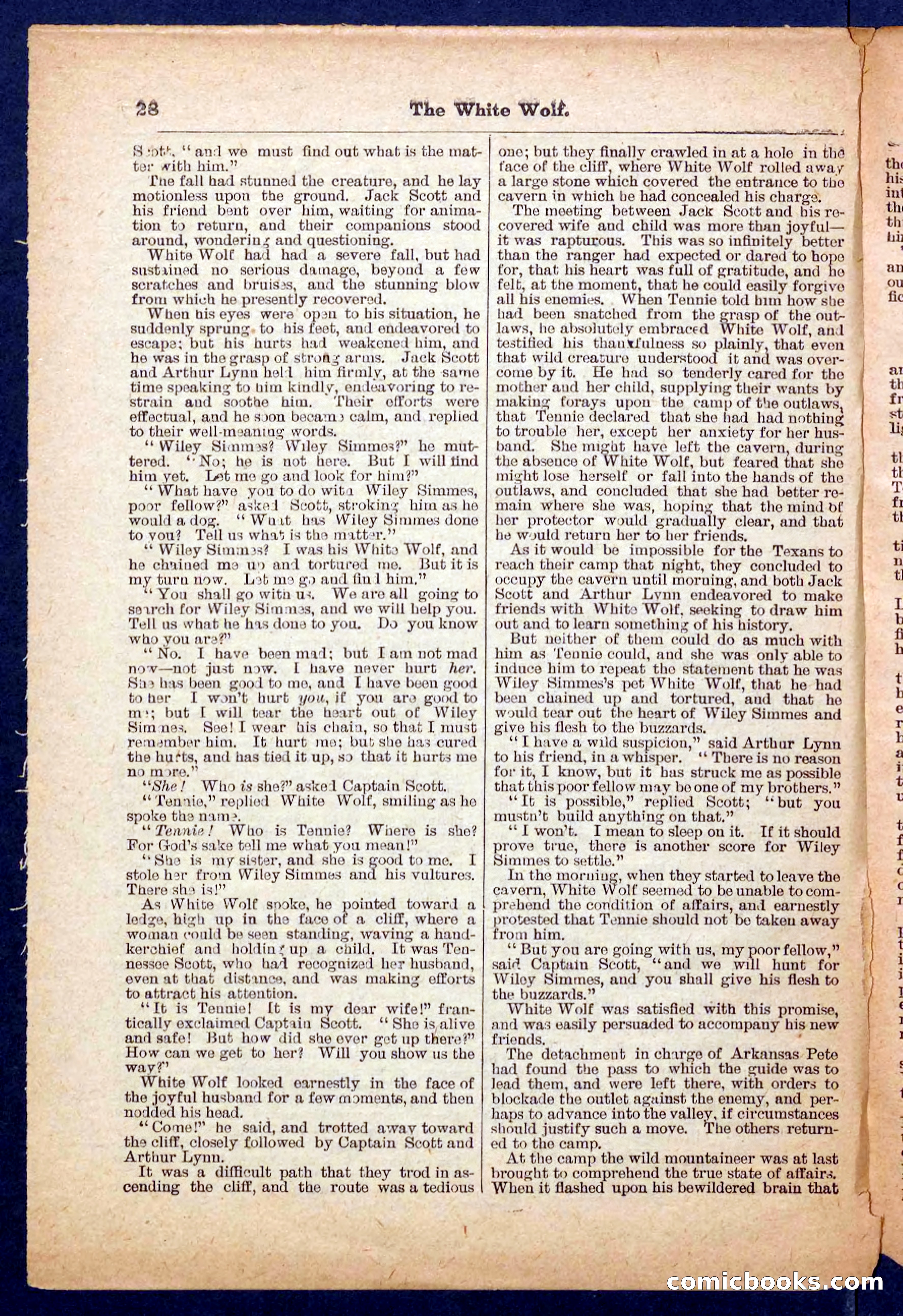 Jack Scott in Texas; or, The White Wolf — page 28 of 32