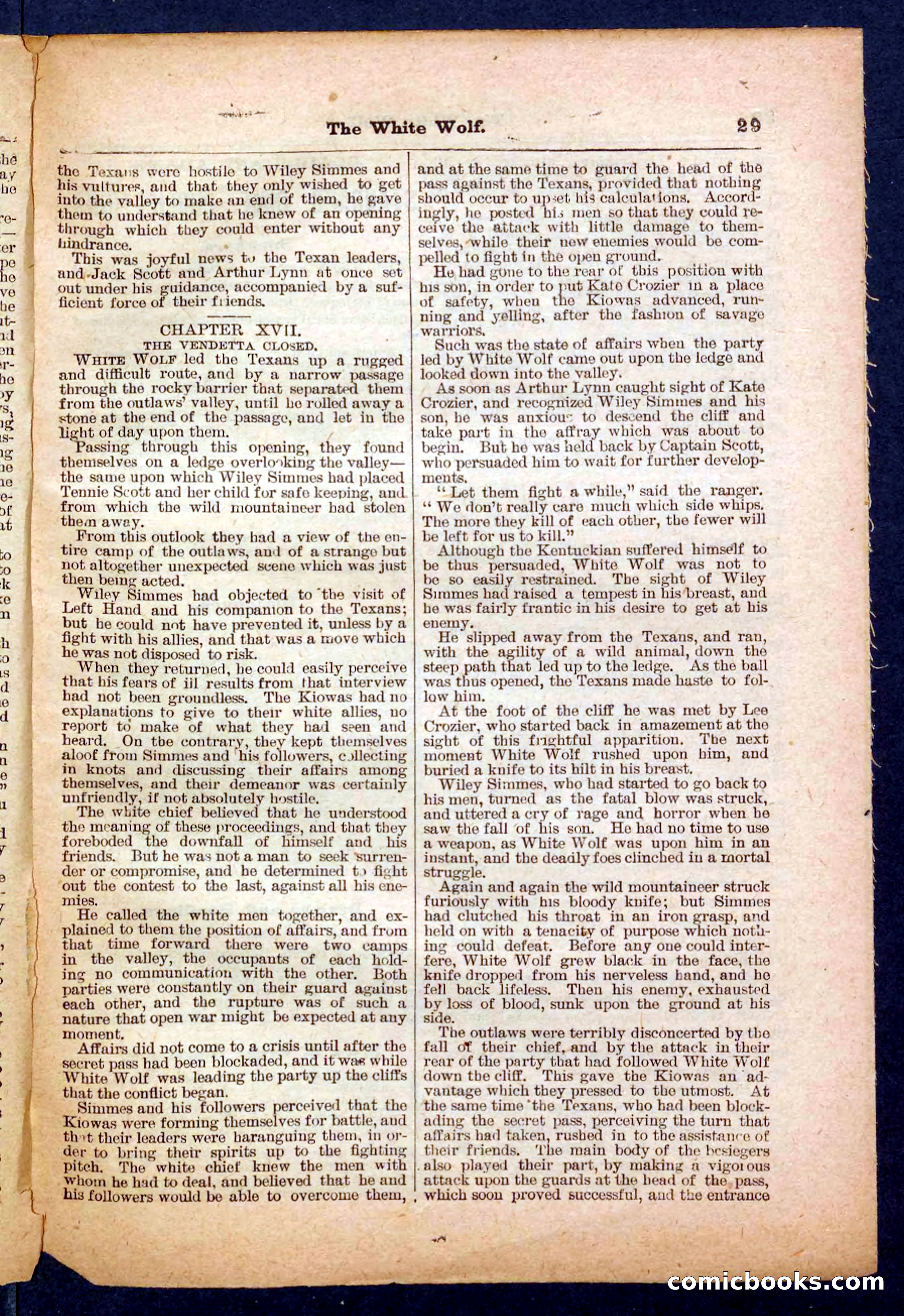 Jack Scott in Texas; or, The White Wolf — page 29 of 32