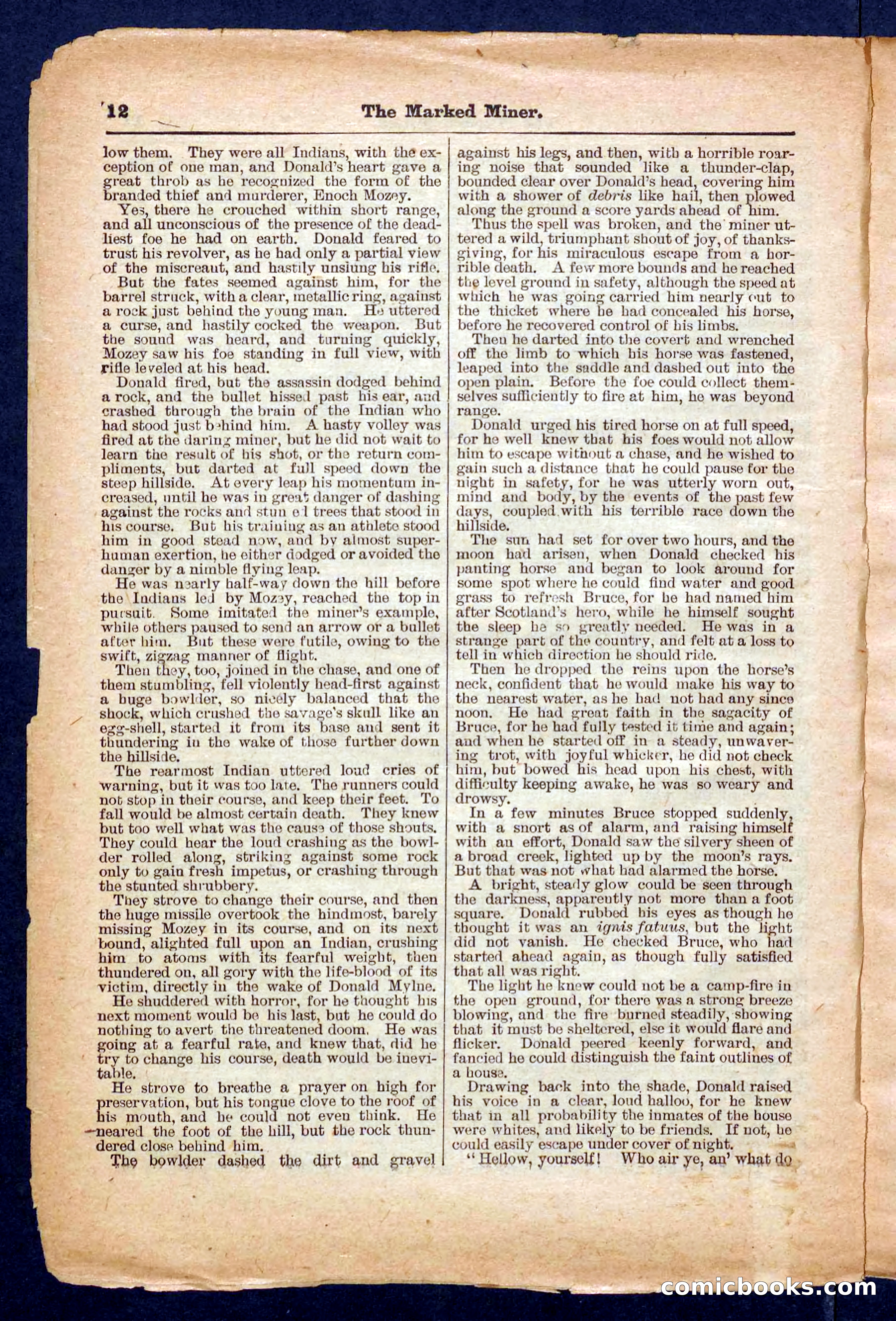 Beadle's Pocket Library No. 469: Donald's Death Shot — page 12 of 32