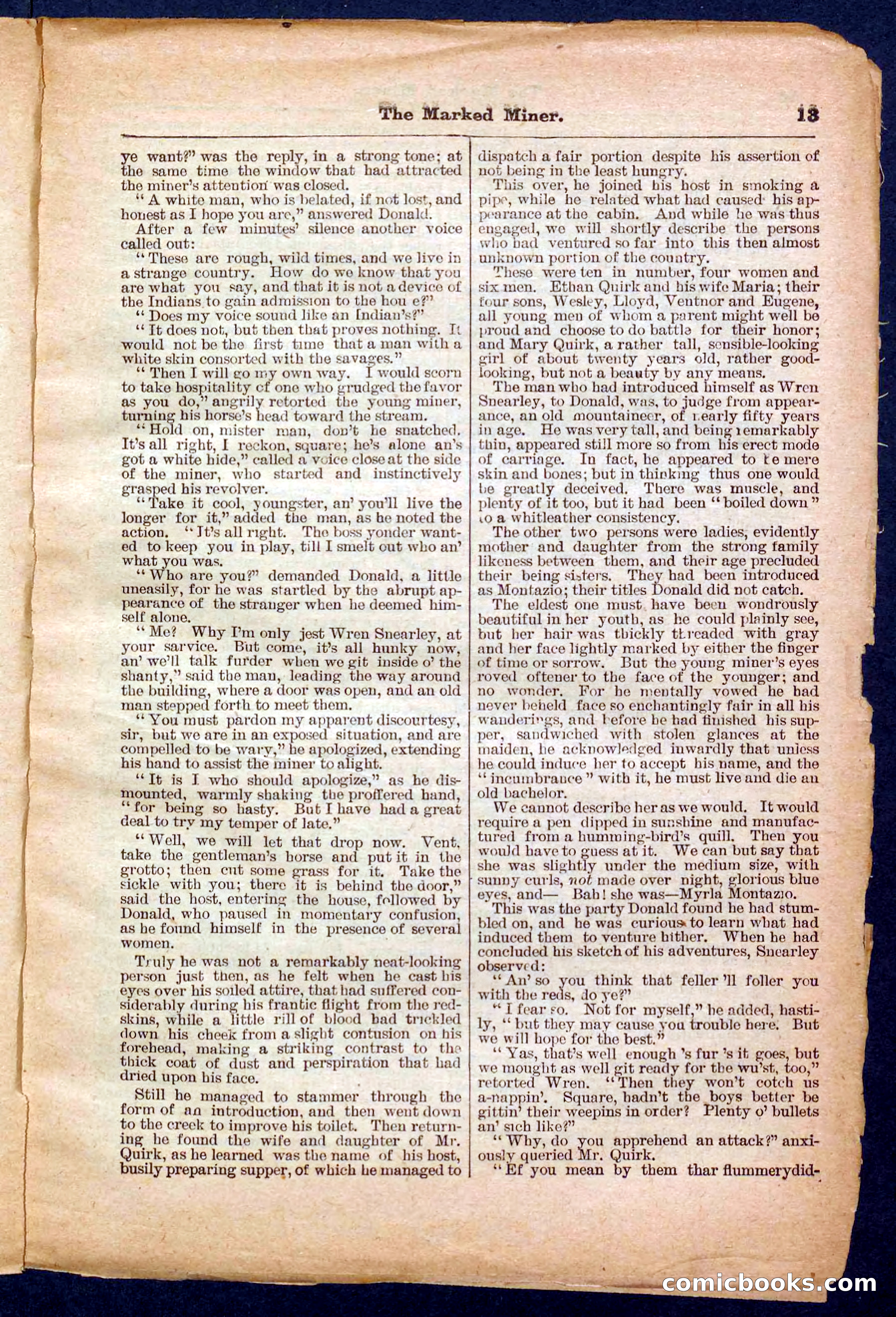 Beadle's Pocket Library No. 469: Donald's Death Shot — page 13 of 32