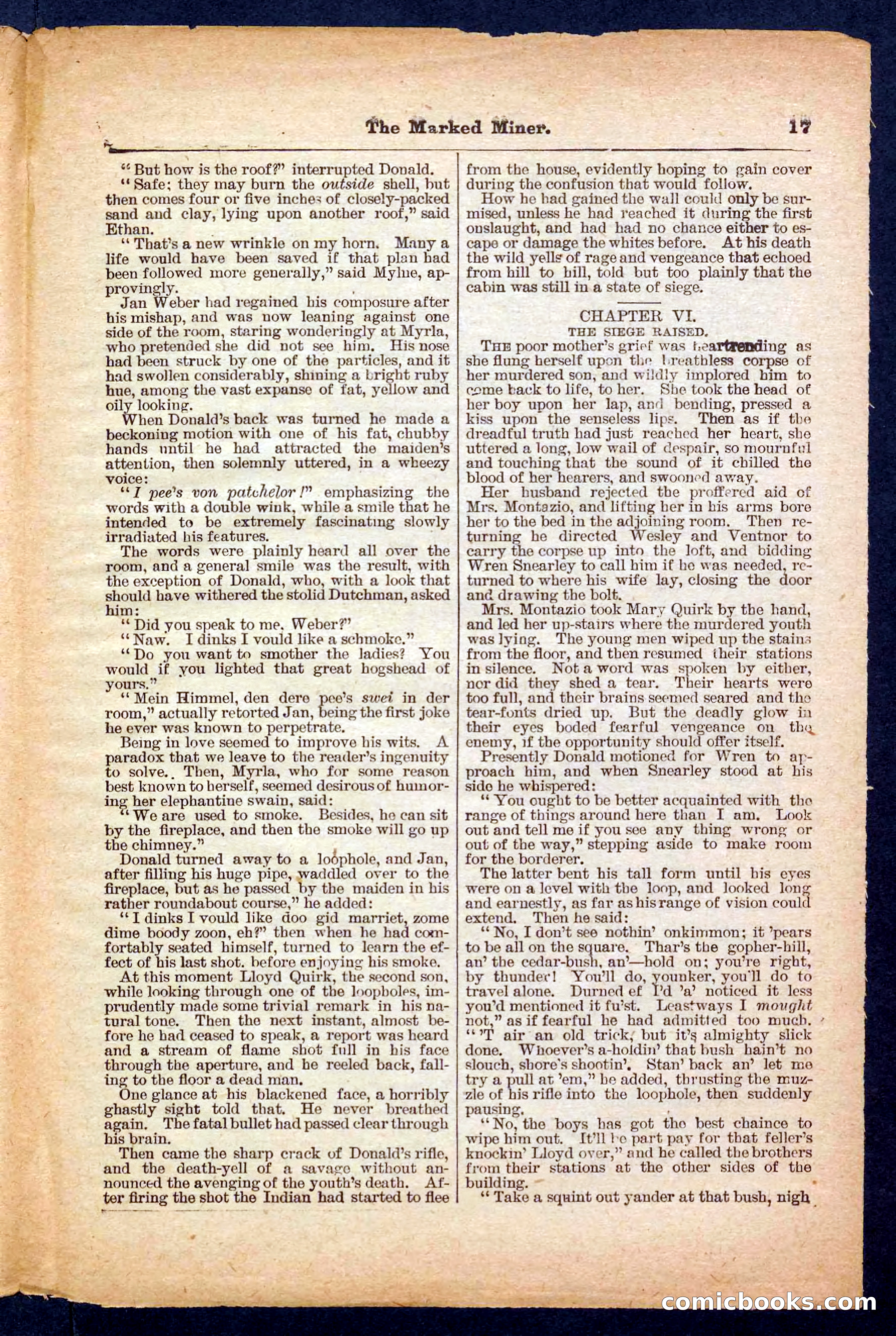 Beadle's Pocket Library No. 469: Donald's Death Shot — page 17 of 32