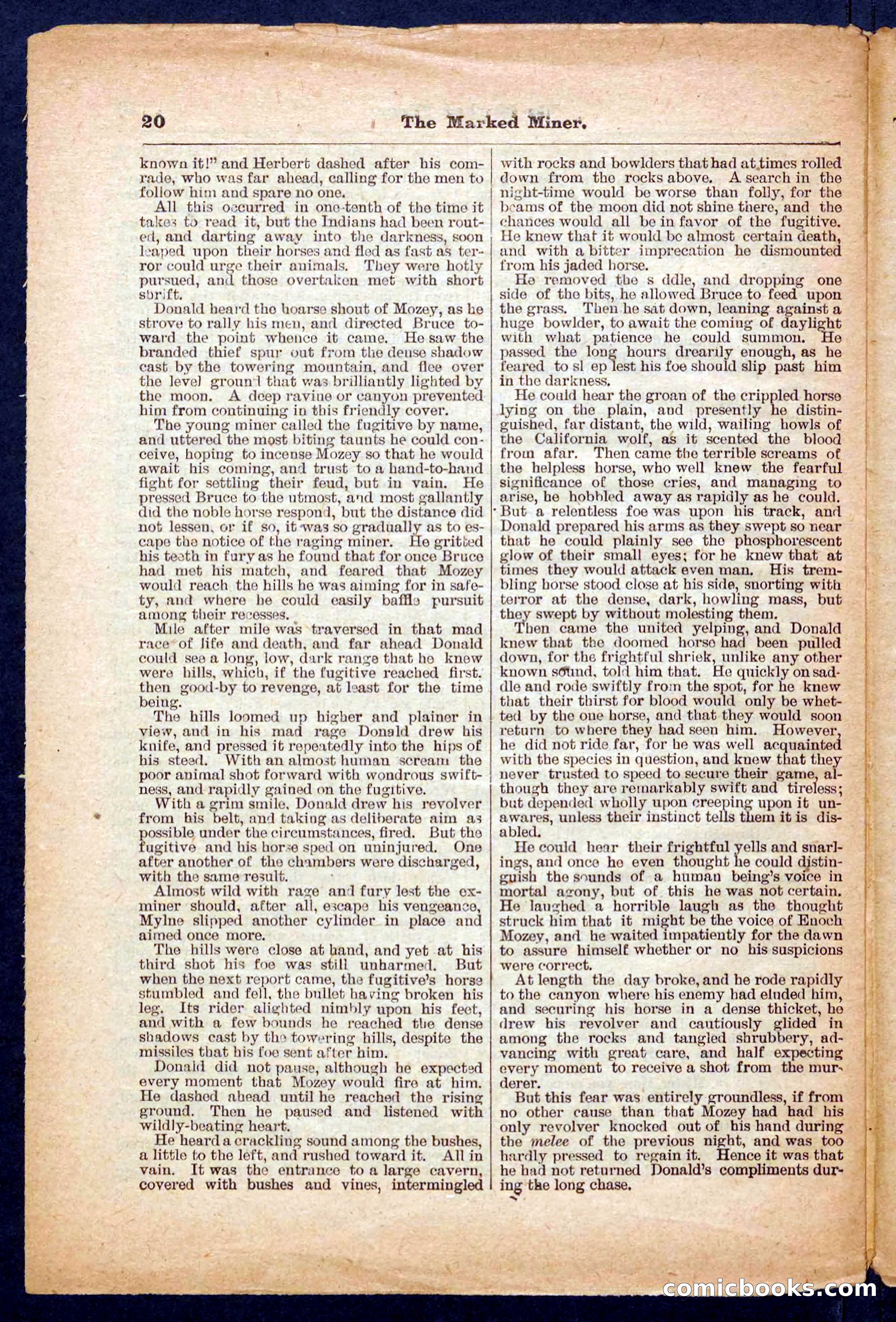 Beadle's Pocket Library No. 469: Donald's Death Shot — page 20 of 32