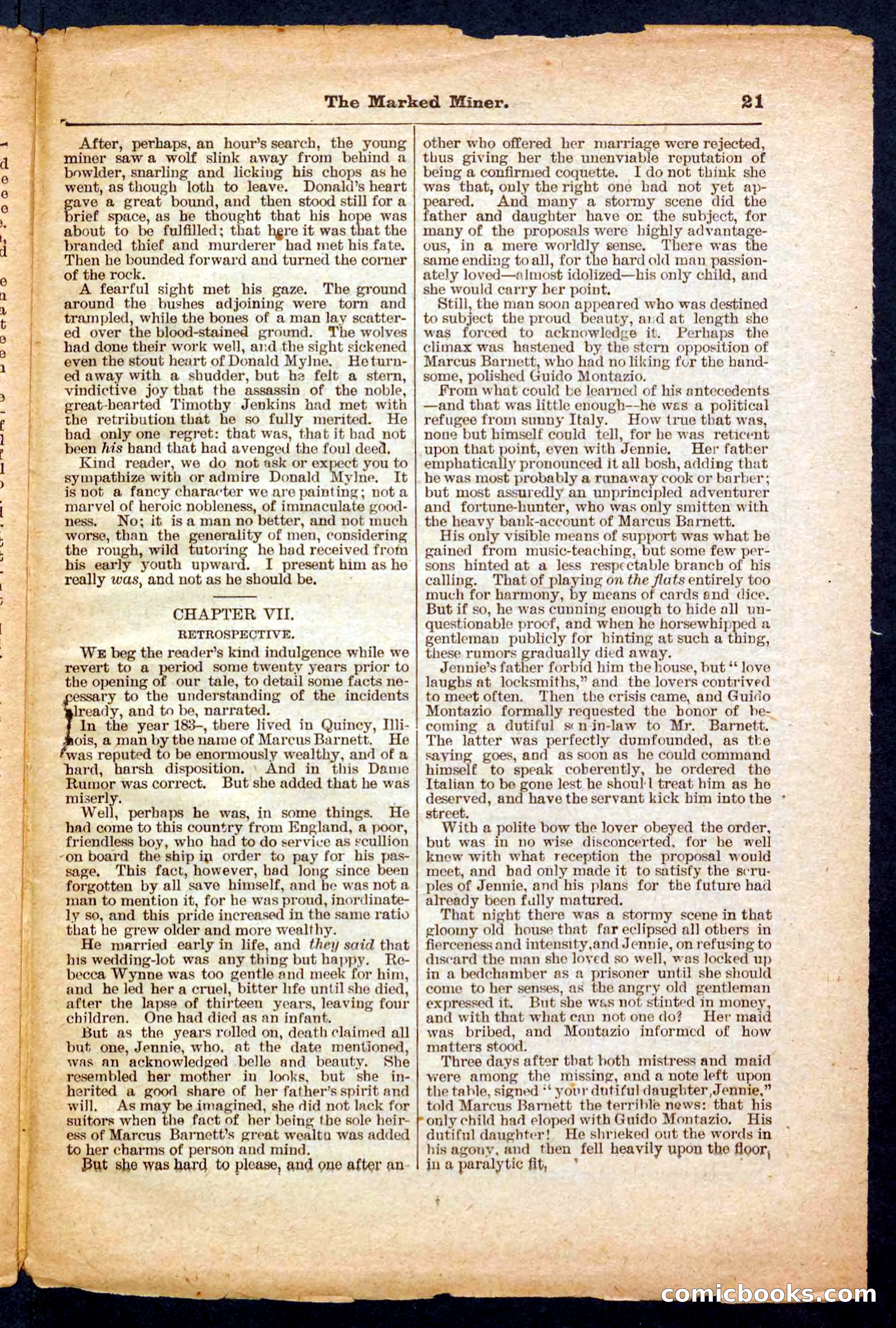 Beadle's Pocket Library No. 469: Donald's Death Shot — page 21 of 32