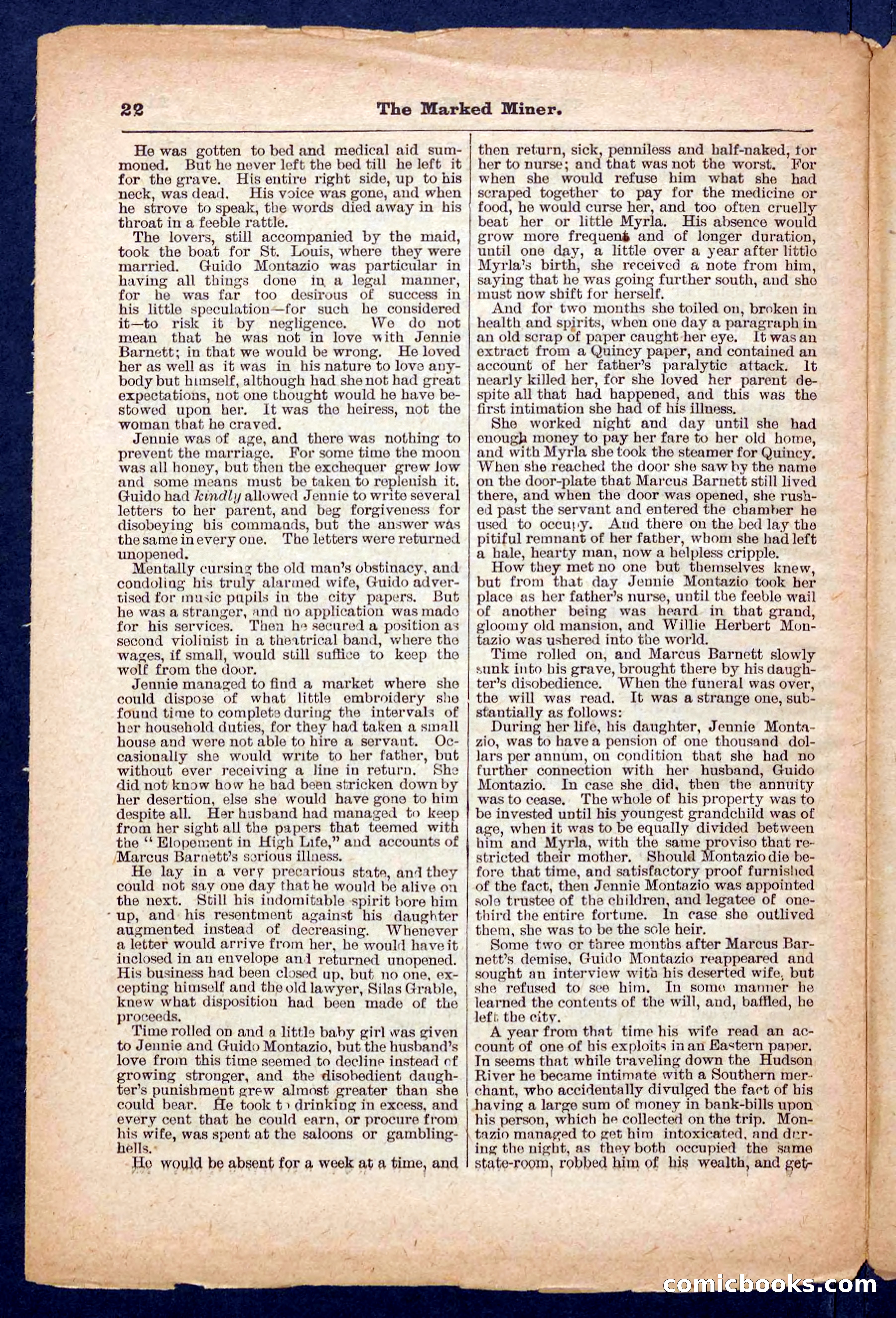 Beadle's Pocket Library No. 469: Donald's Death Shot — page 22 of 32