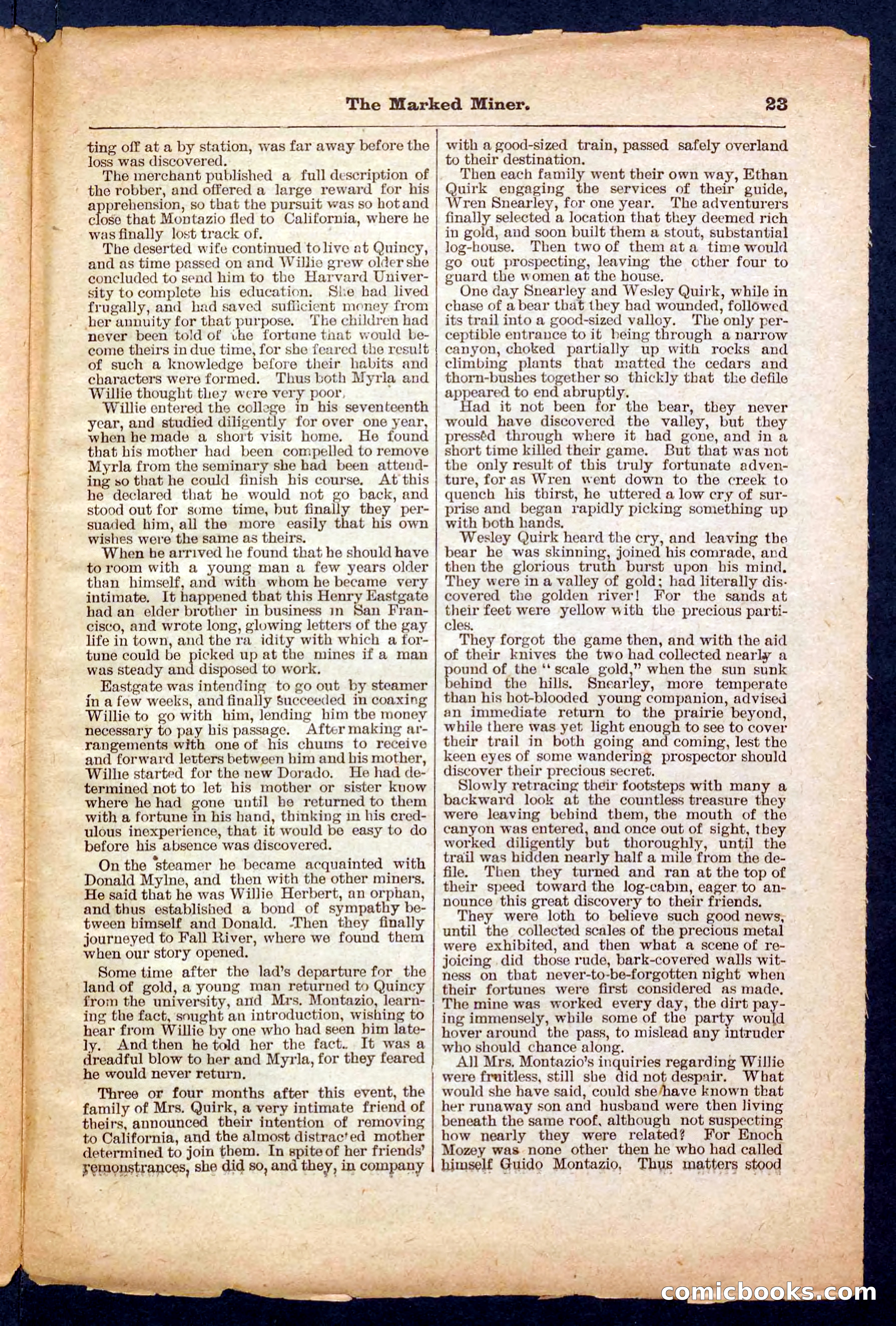 Beadle's Pocket Library No. 469: Donald's Death Shot — page 23 of 32