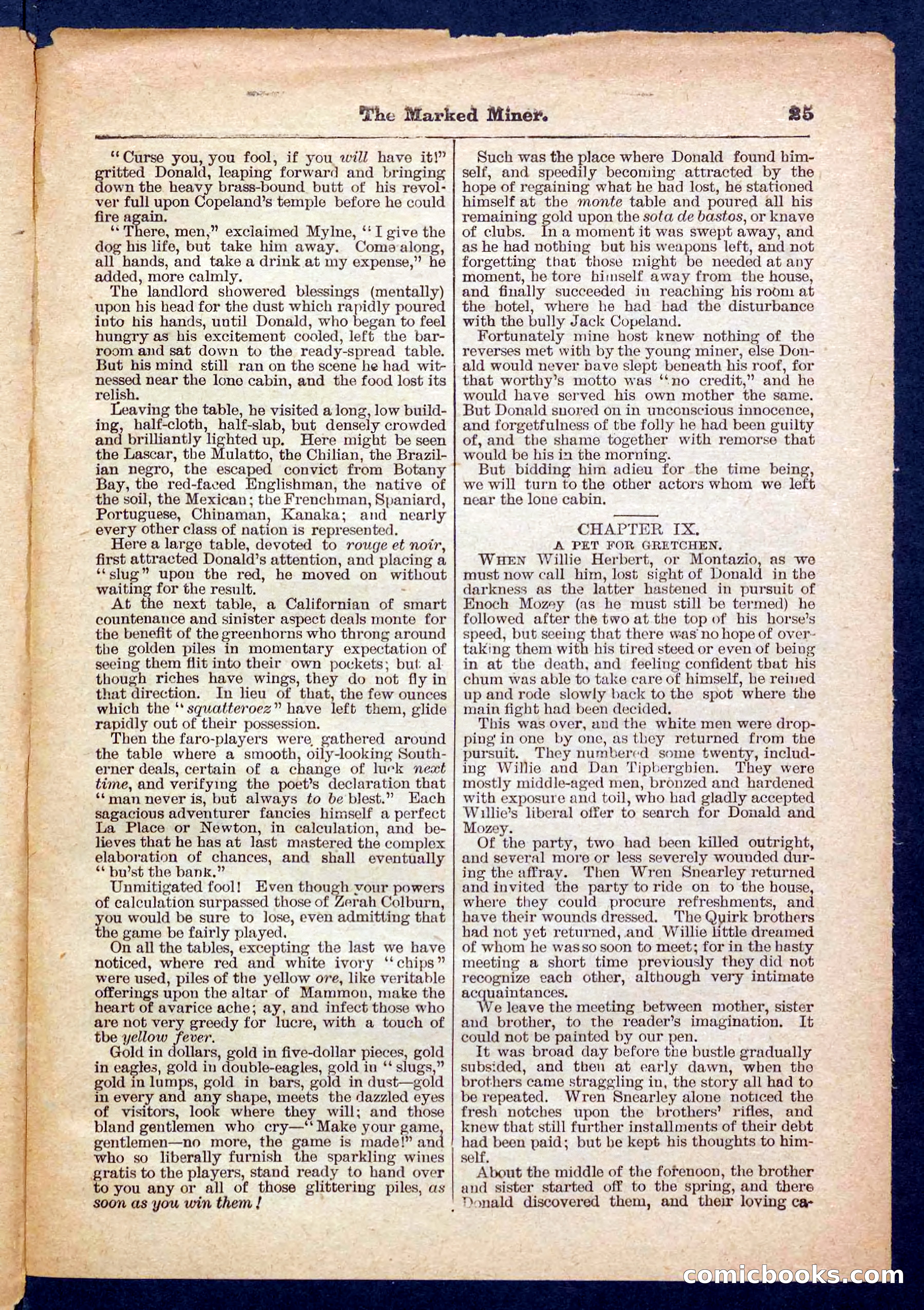 Beadle's Pocket Library No. 469: Donald's Death Shot — page 25 of 32