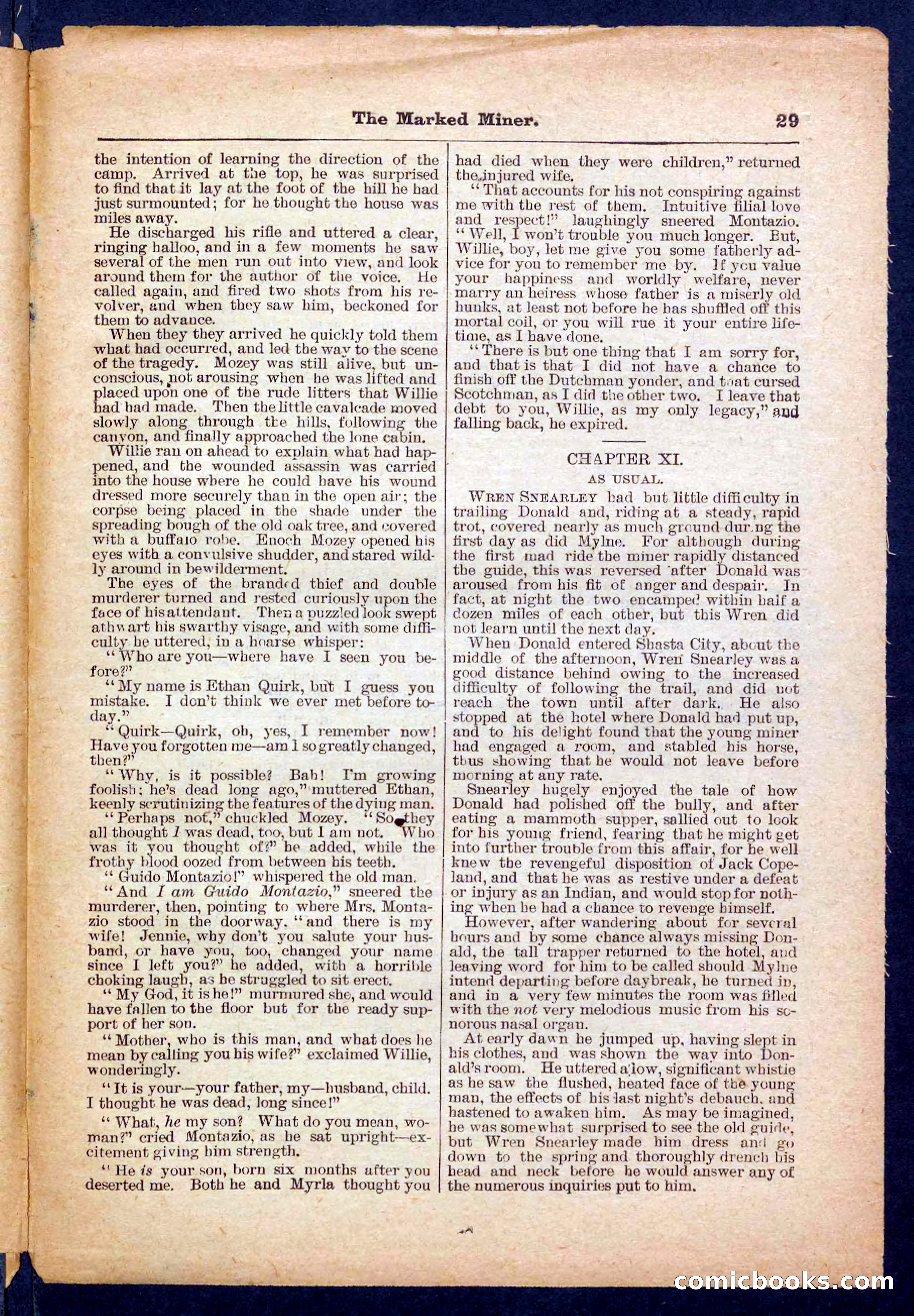 Beadle's Pocket Library No. 469: Donald's Death Shot — page 29 of 32