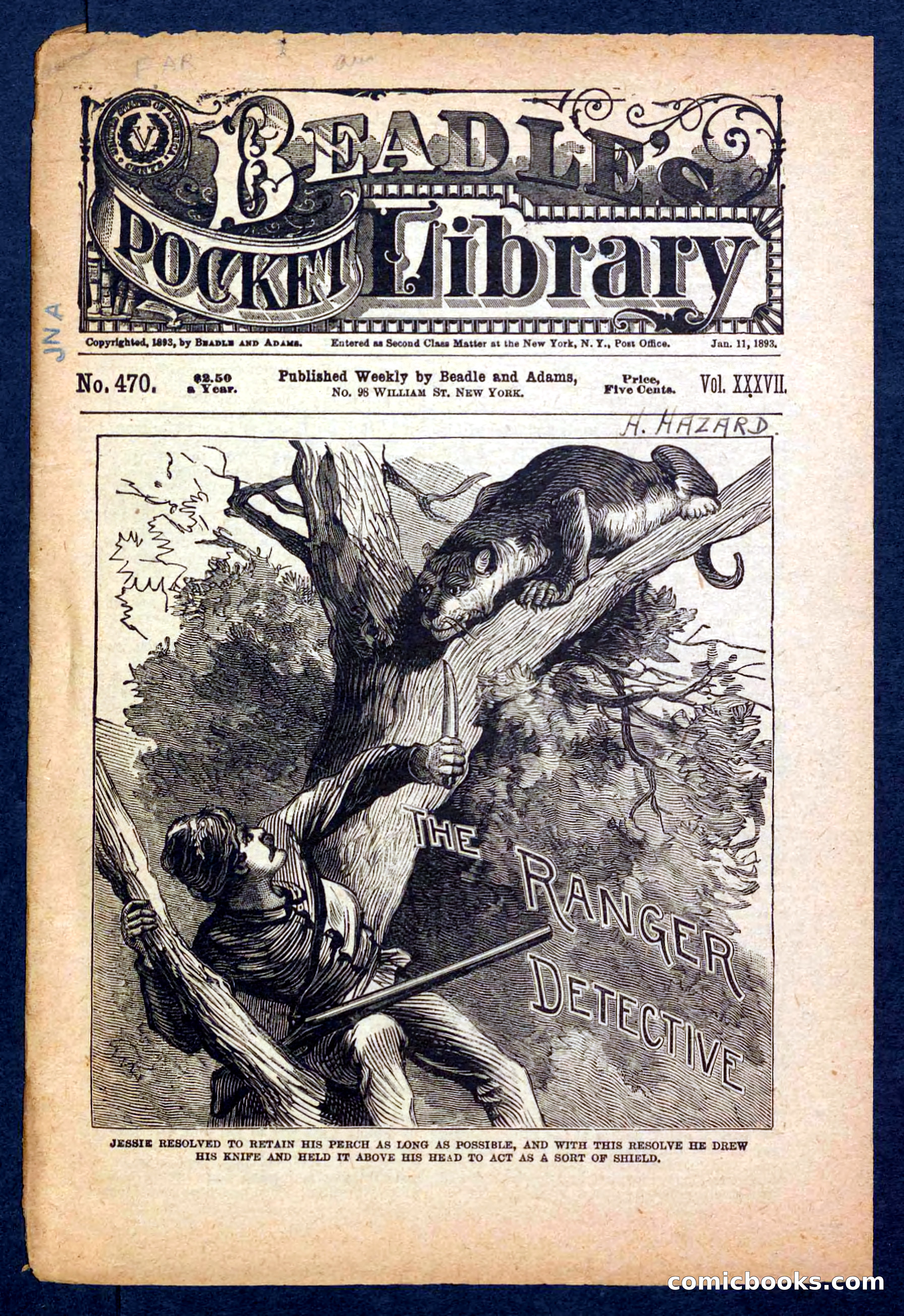 Beadle's Pocket Library No. 470