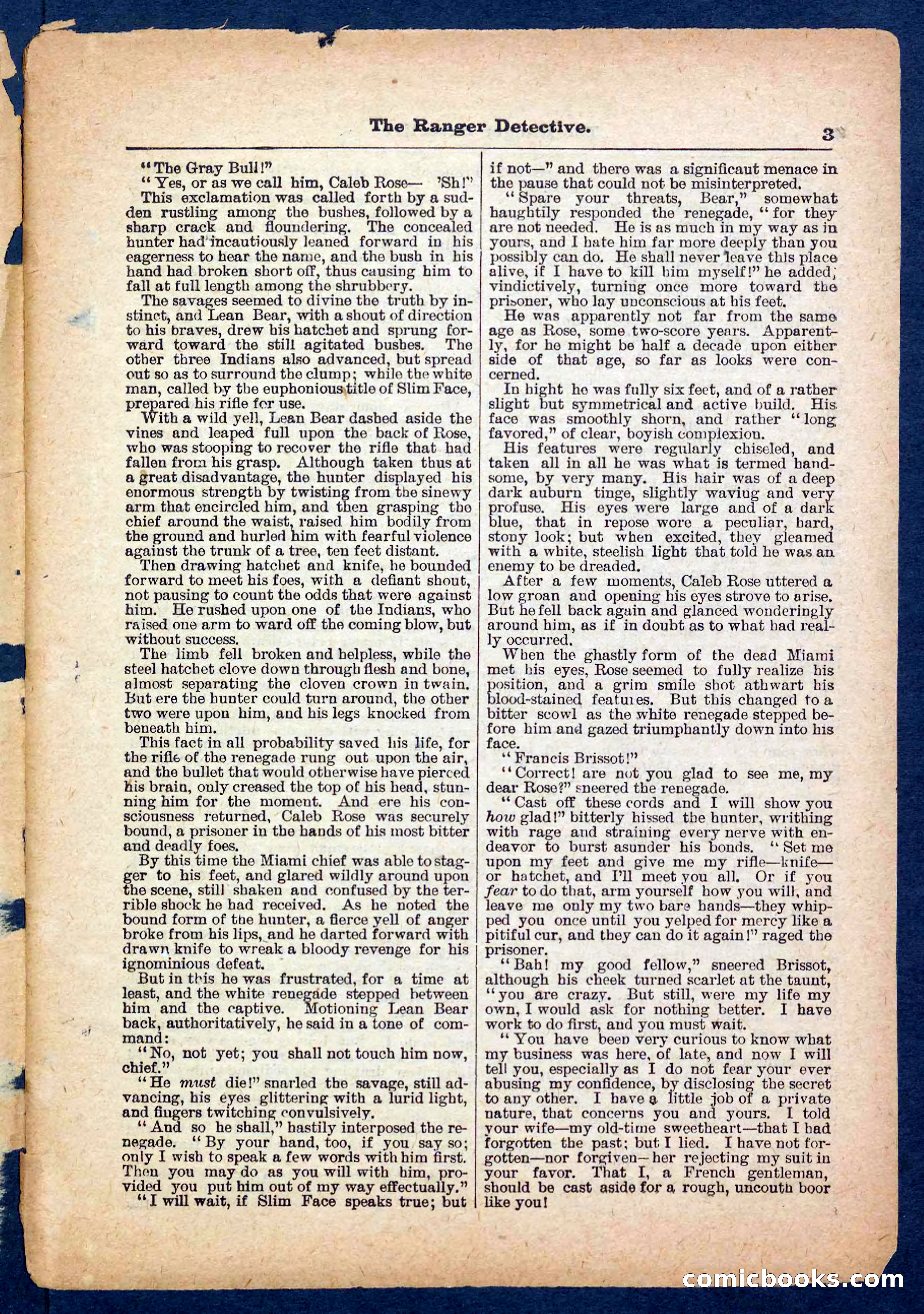 Beadle's Pocket Library No. 470 — page 3 of 32