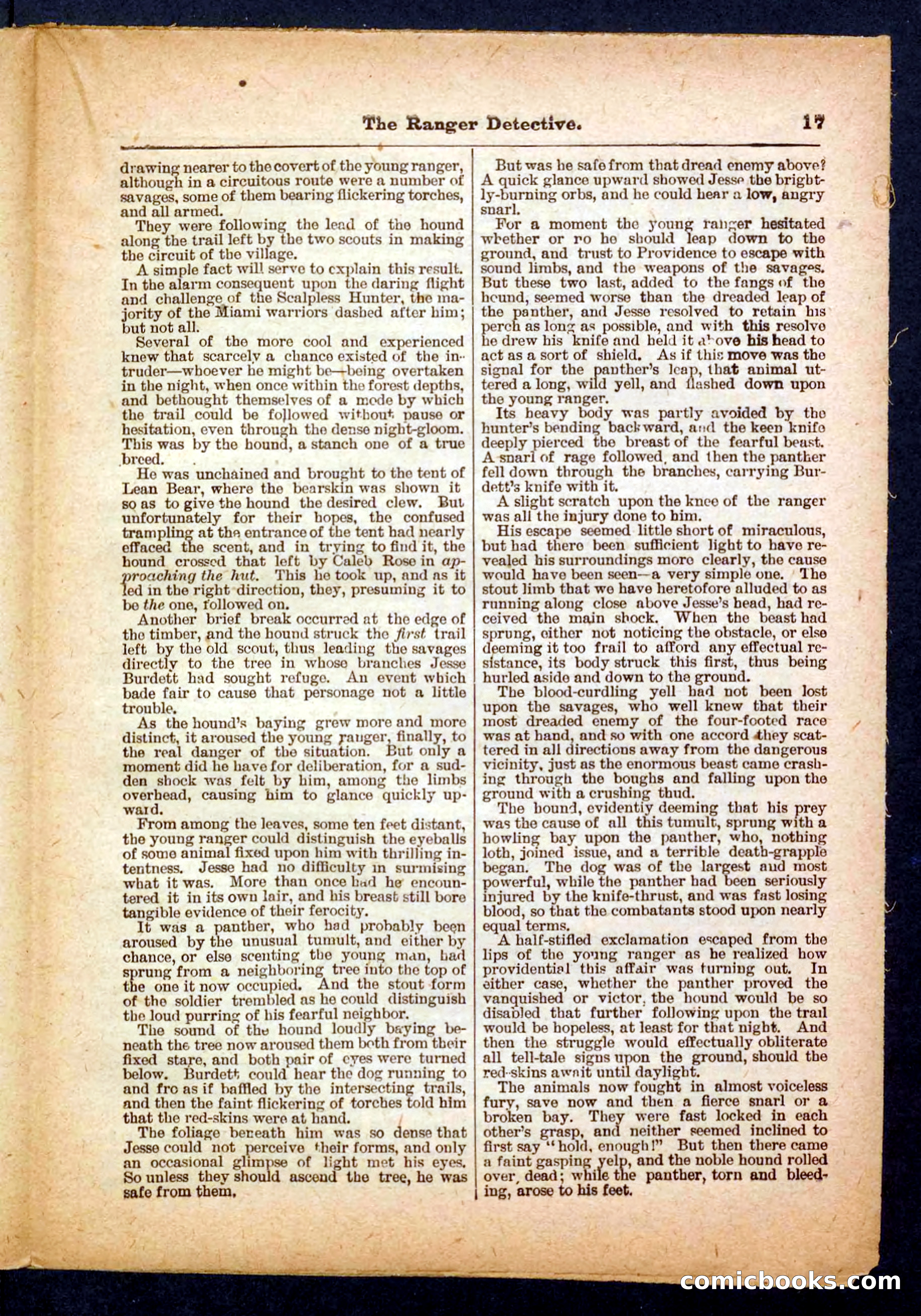 Beadle's Pocket Library No. 470 — page 17 of 32