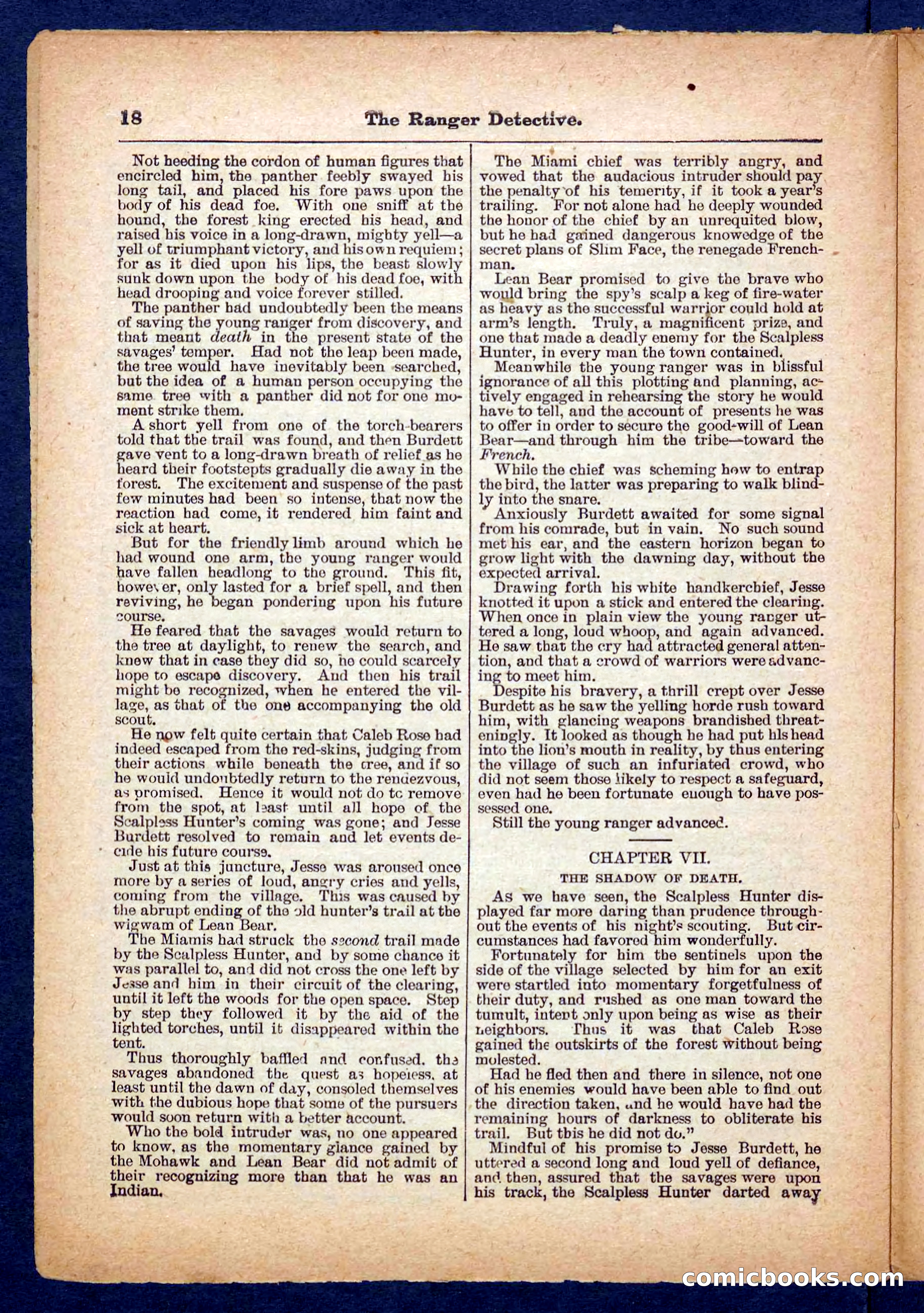 Beadle's Pocket Library No. 470 — page 18 of 32