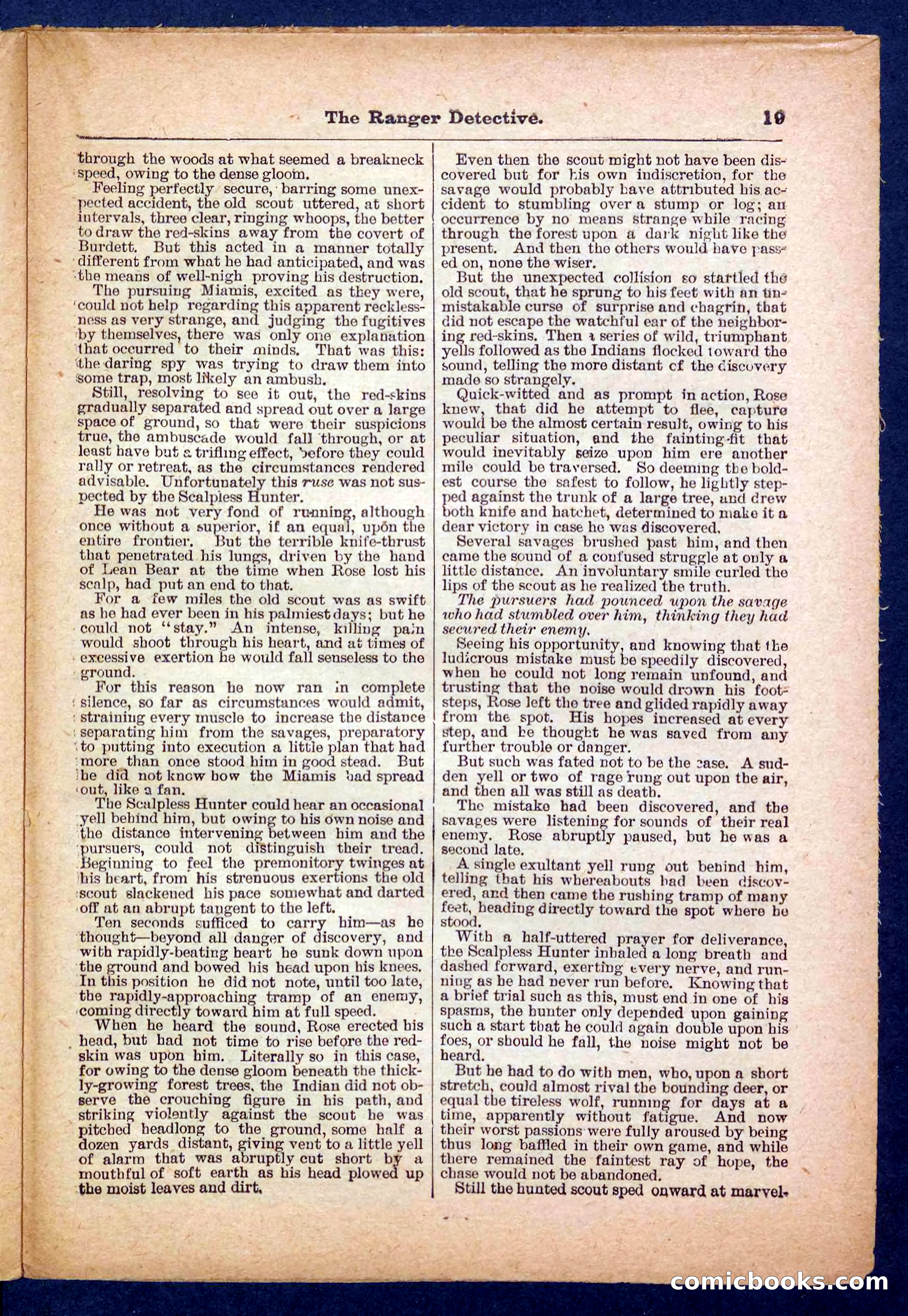 Beadle's Pocket Library No. 470 — page 19 of 32