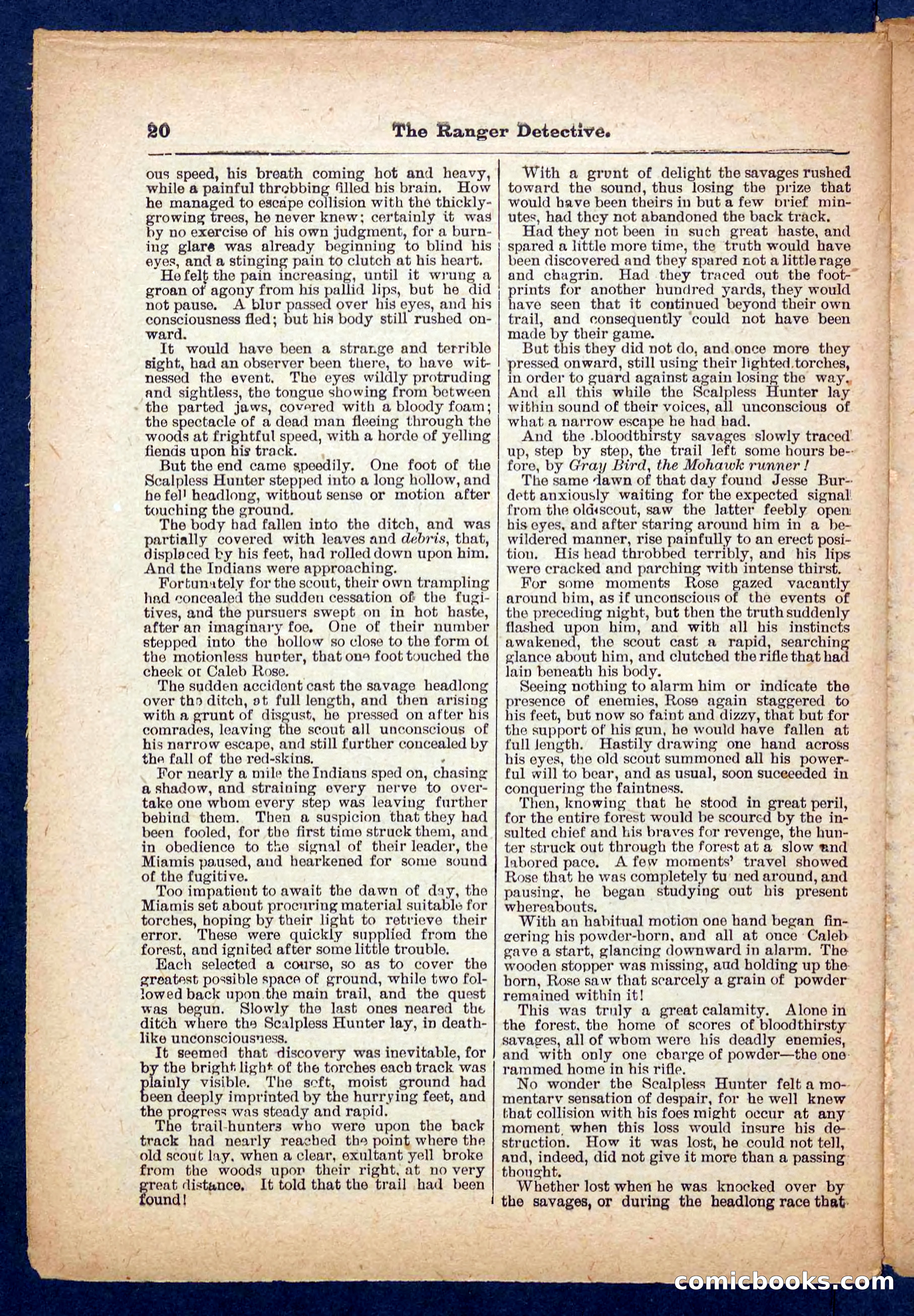Beadle's Pocket Library No. 470 — page 20 of 32