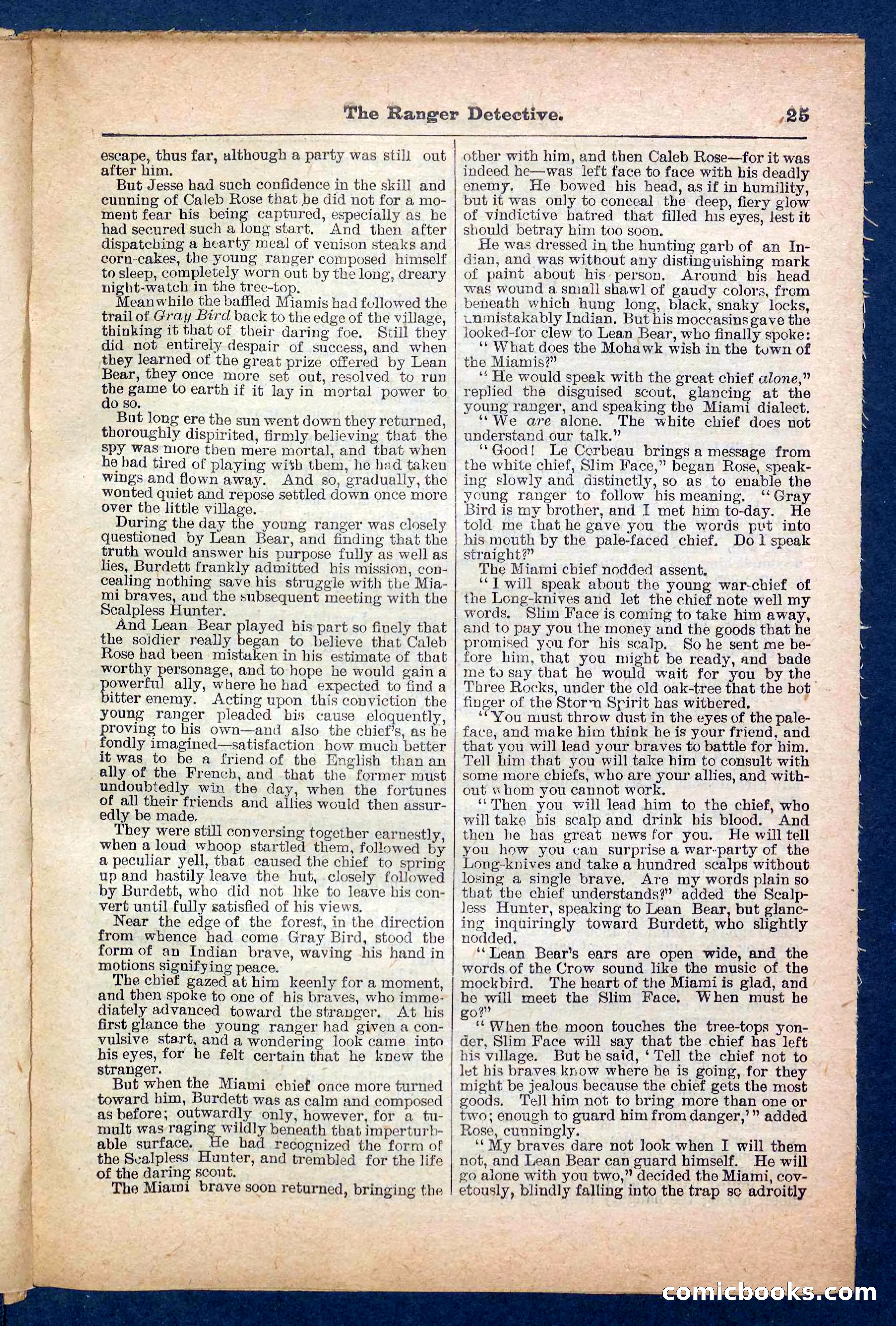 Beadle's Pocket Library No. 470 — page 25 of 32