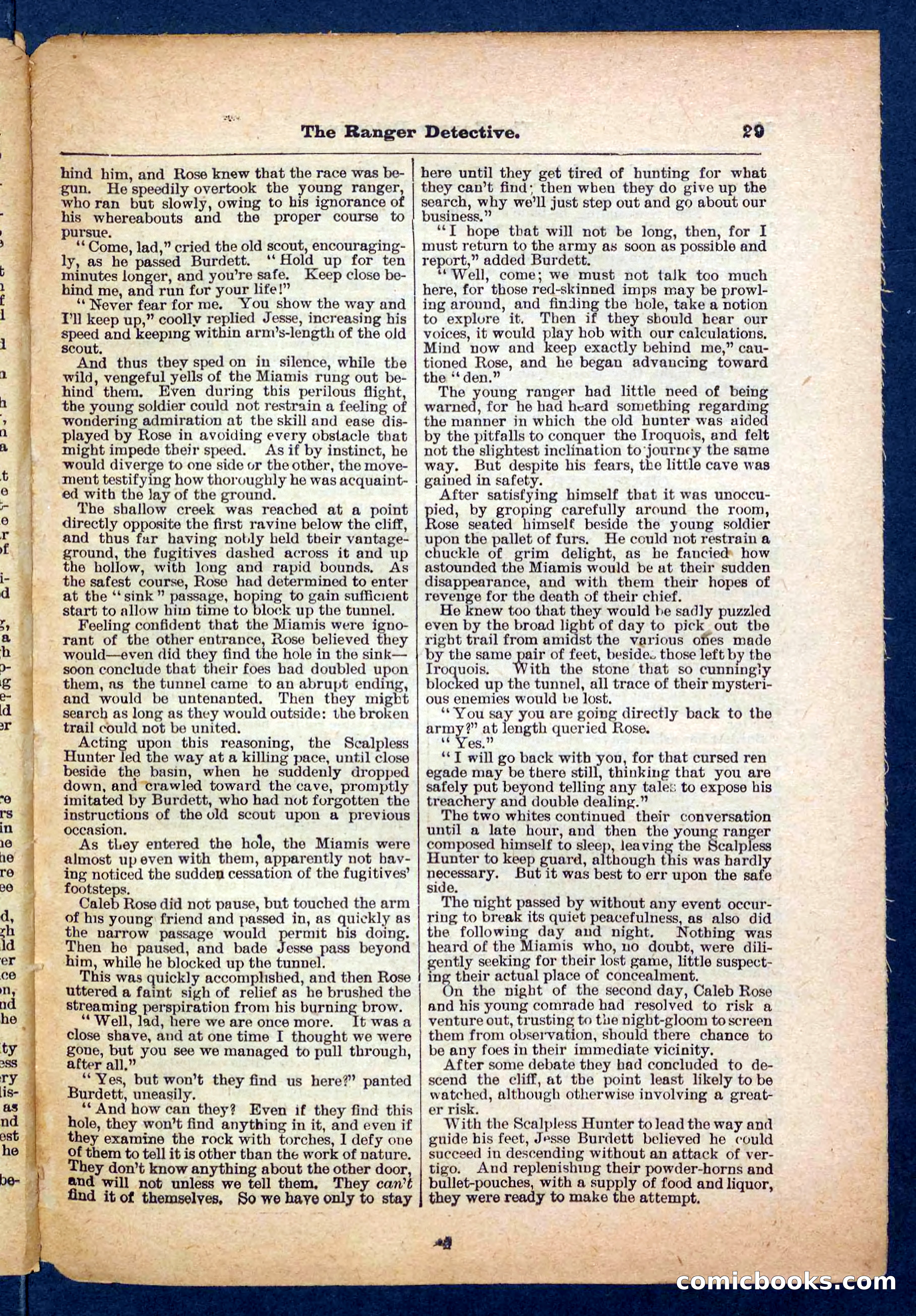 Beadle's Pocket Library No. 470 — page 29 of 32