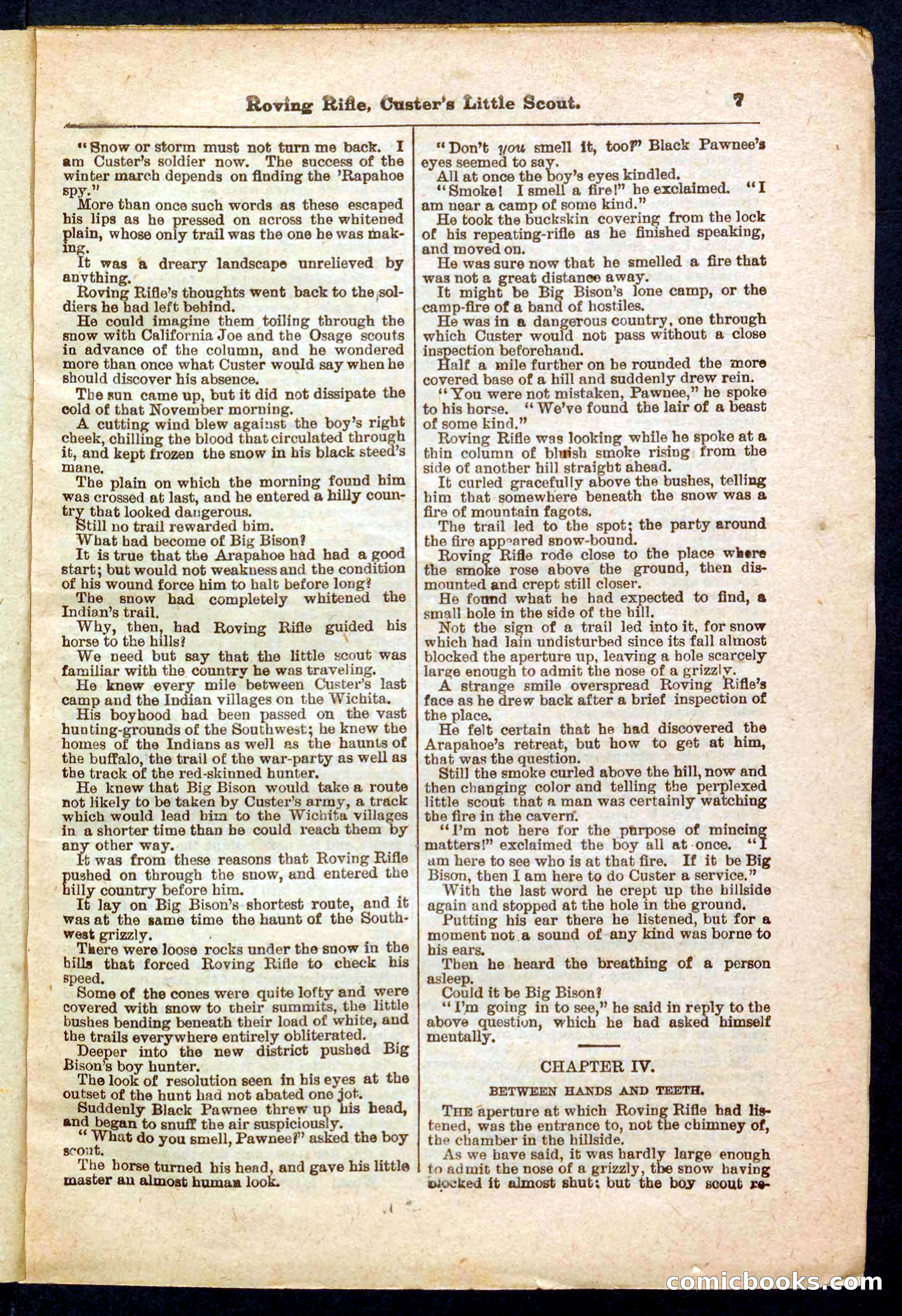 Beadle's Pocket Library No. 471 — page 7 of 32