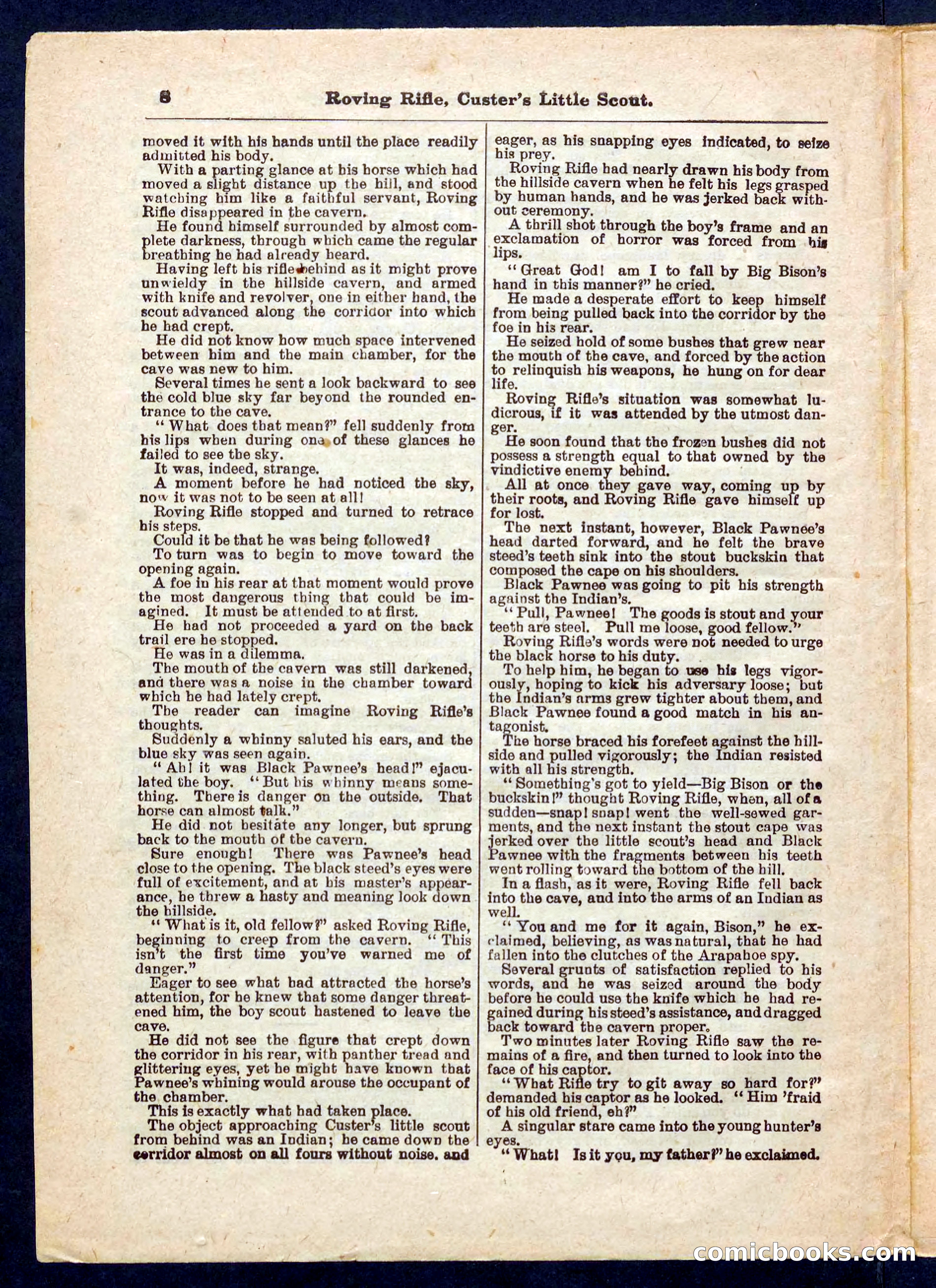 Beadle's Pocket Library No. 471 — page 8 of 32