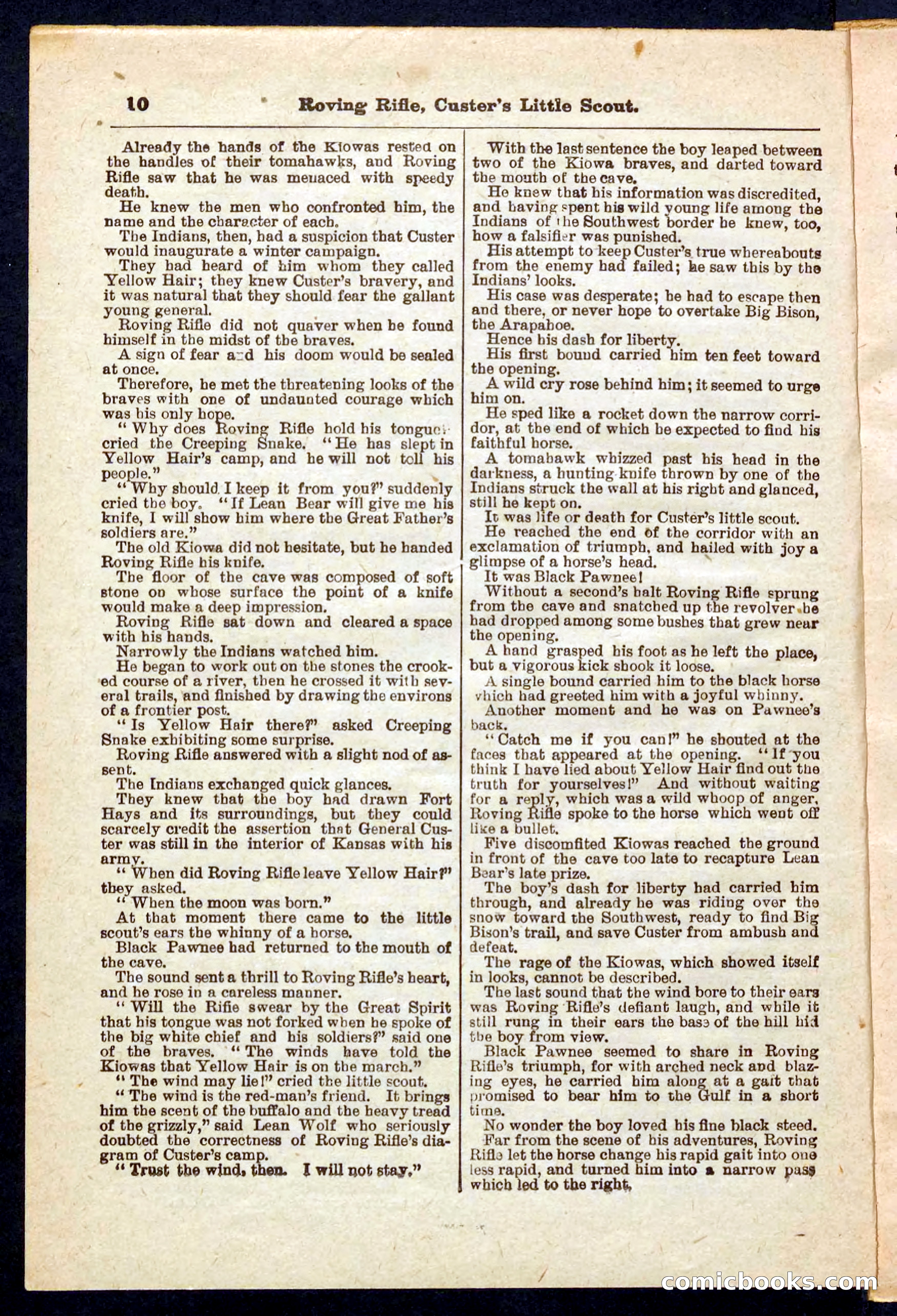 Beadle's Pocket Library No. 471 — page 10 of 32