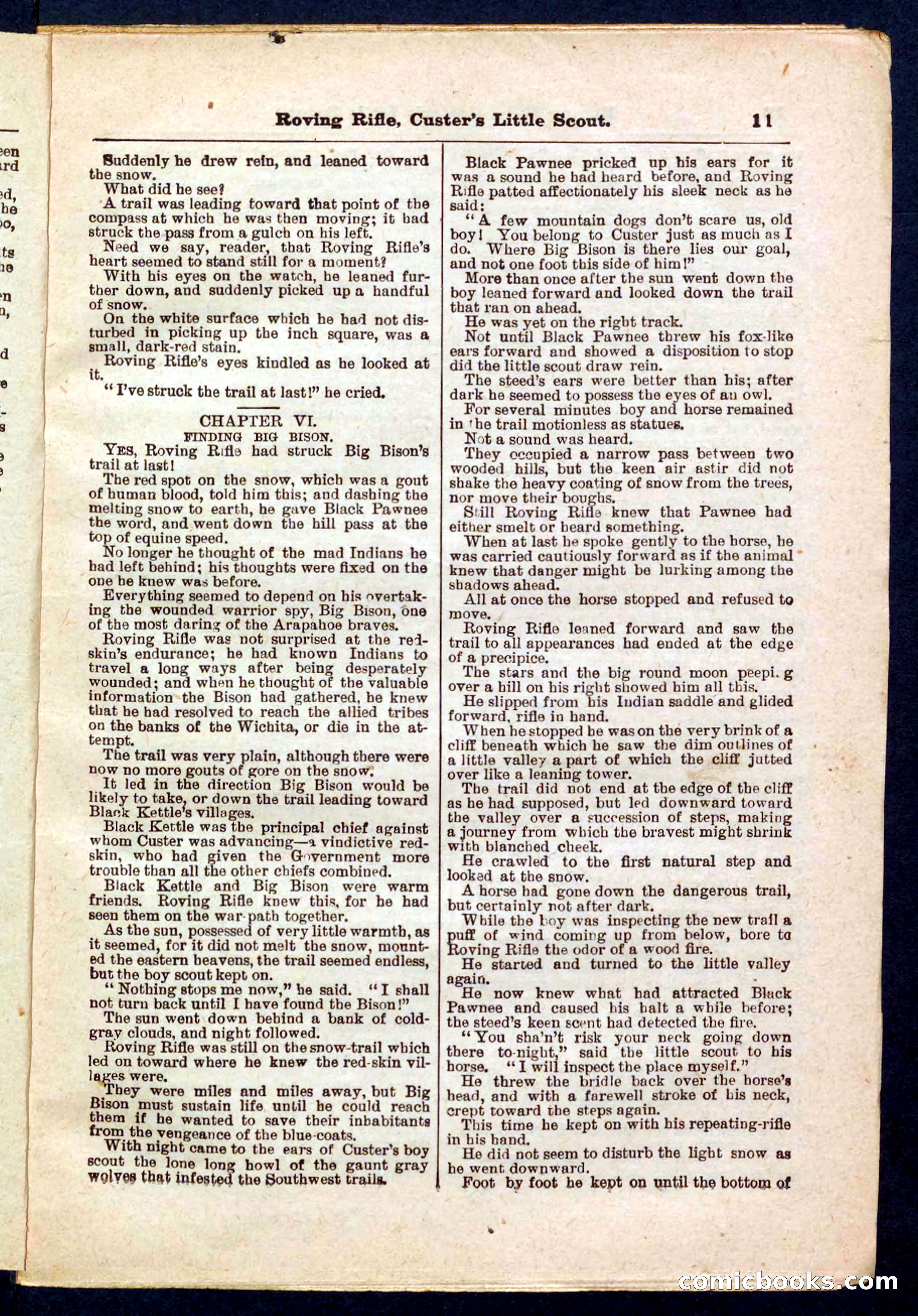 Beadle's Pocket Library No. 471 — page 11 of 32
