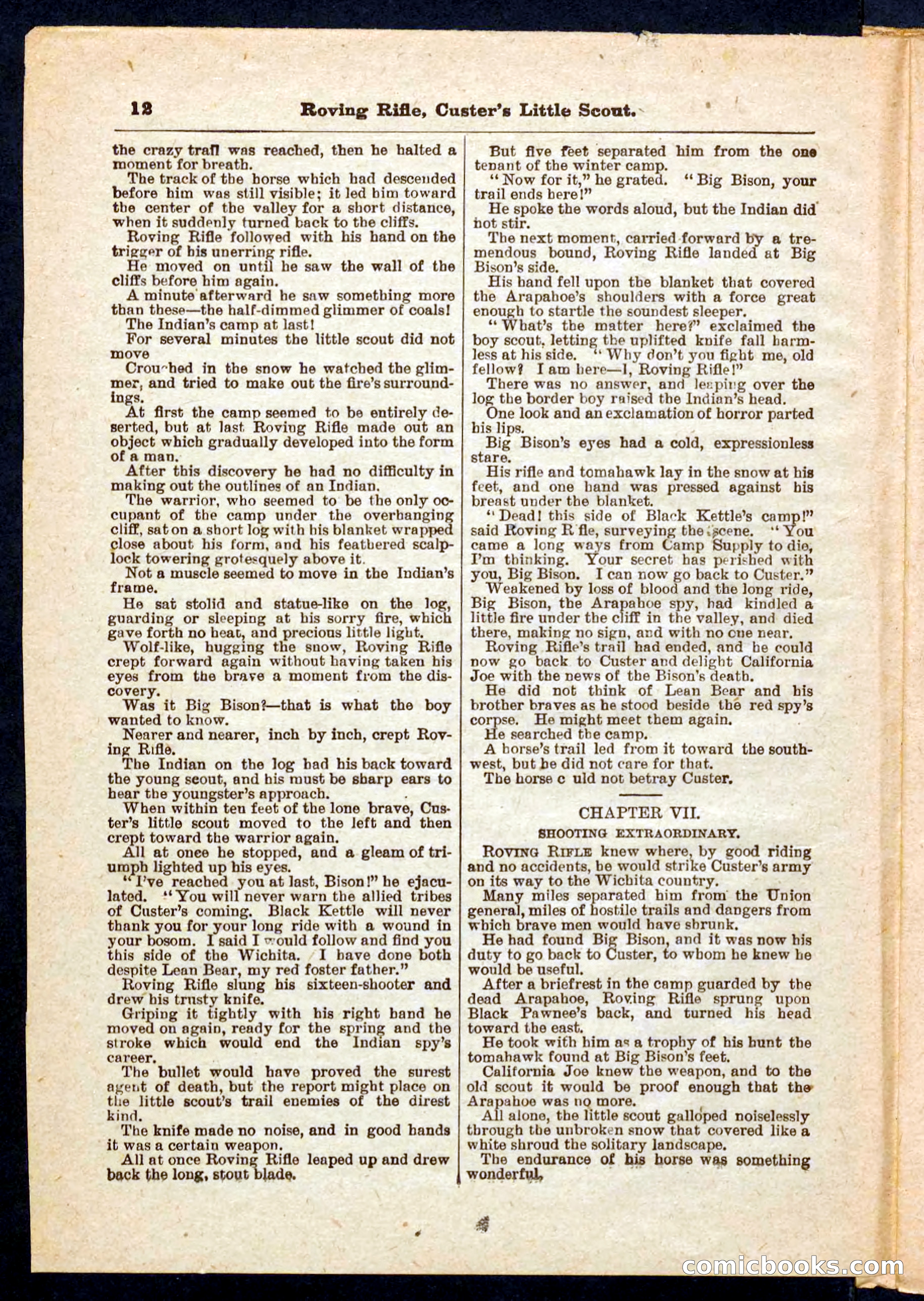 Beadle's Pocket Library No. 471 — page 12 of 32