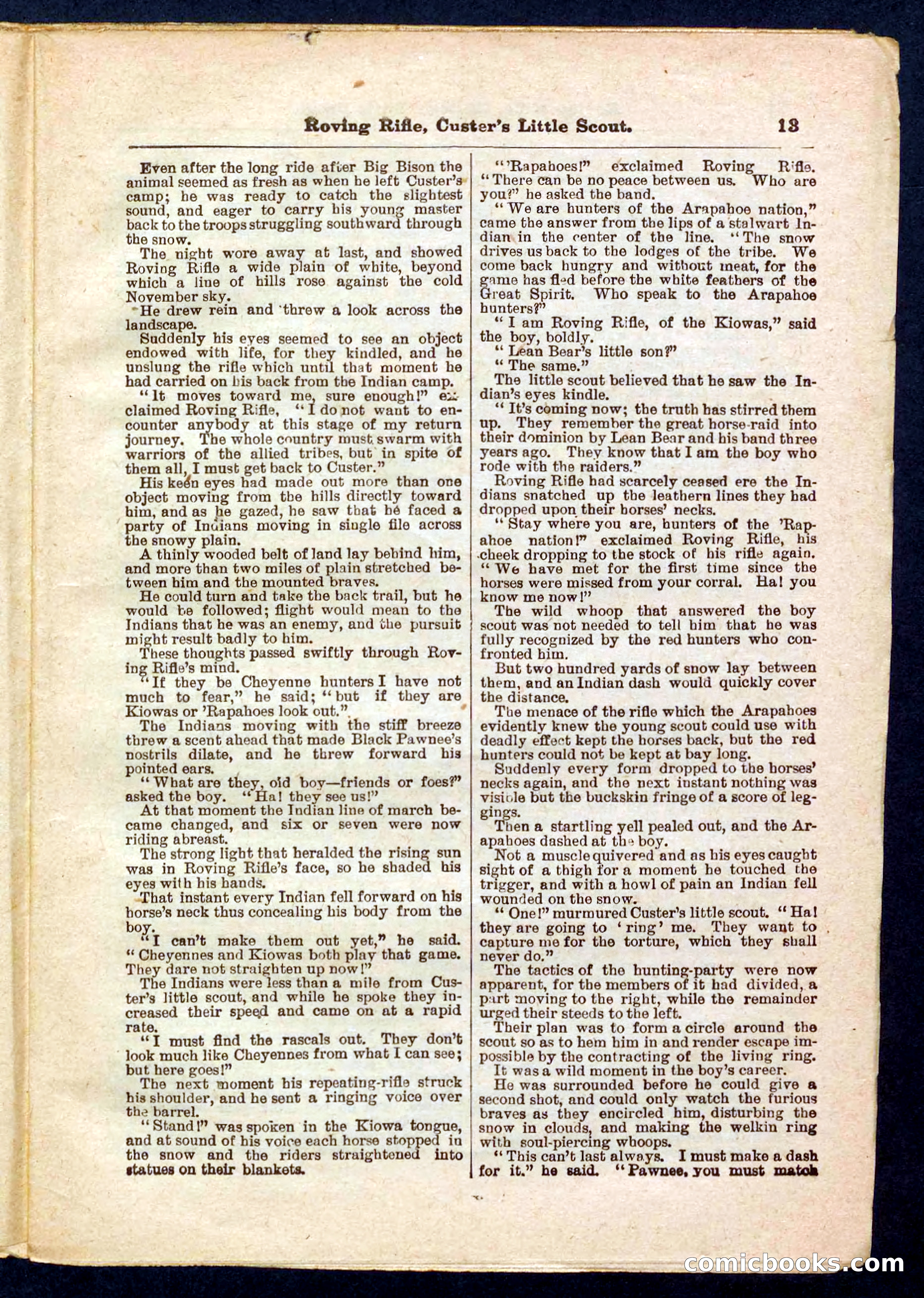 Beadle's Pocket Library No. 471 — page 13 of 32