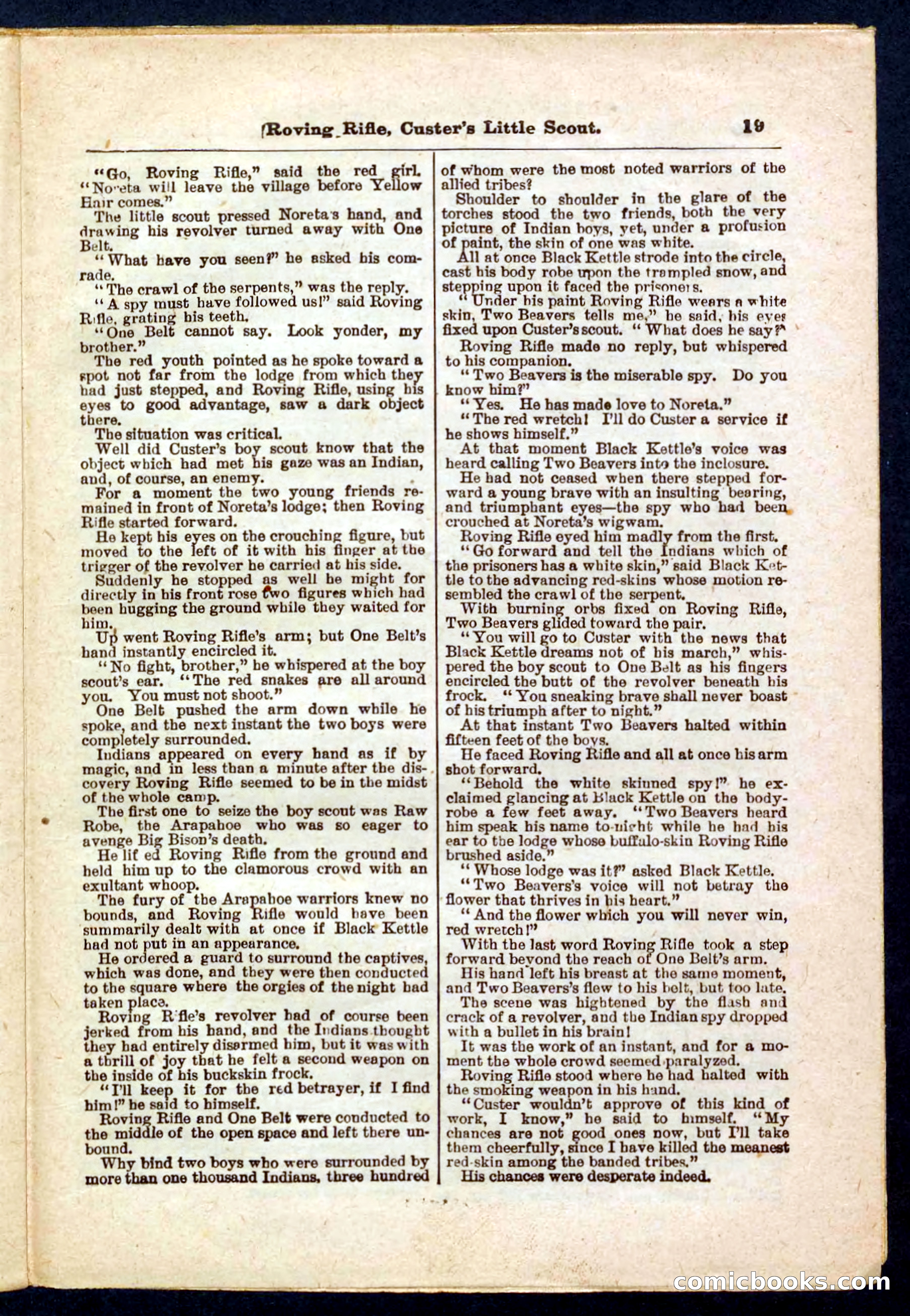 Beadle's Pocket Library No. 471 — page 19 of 32