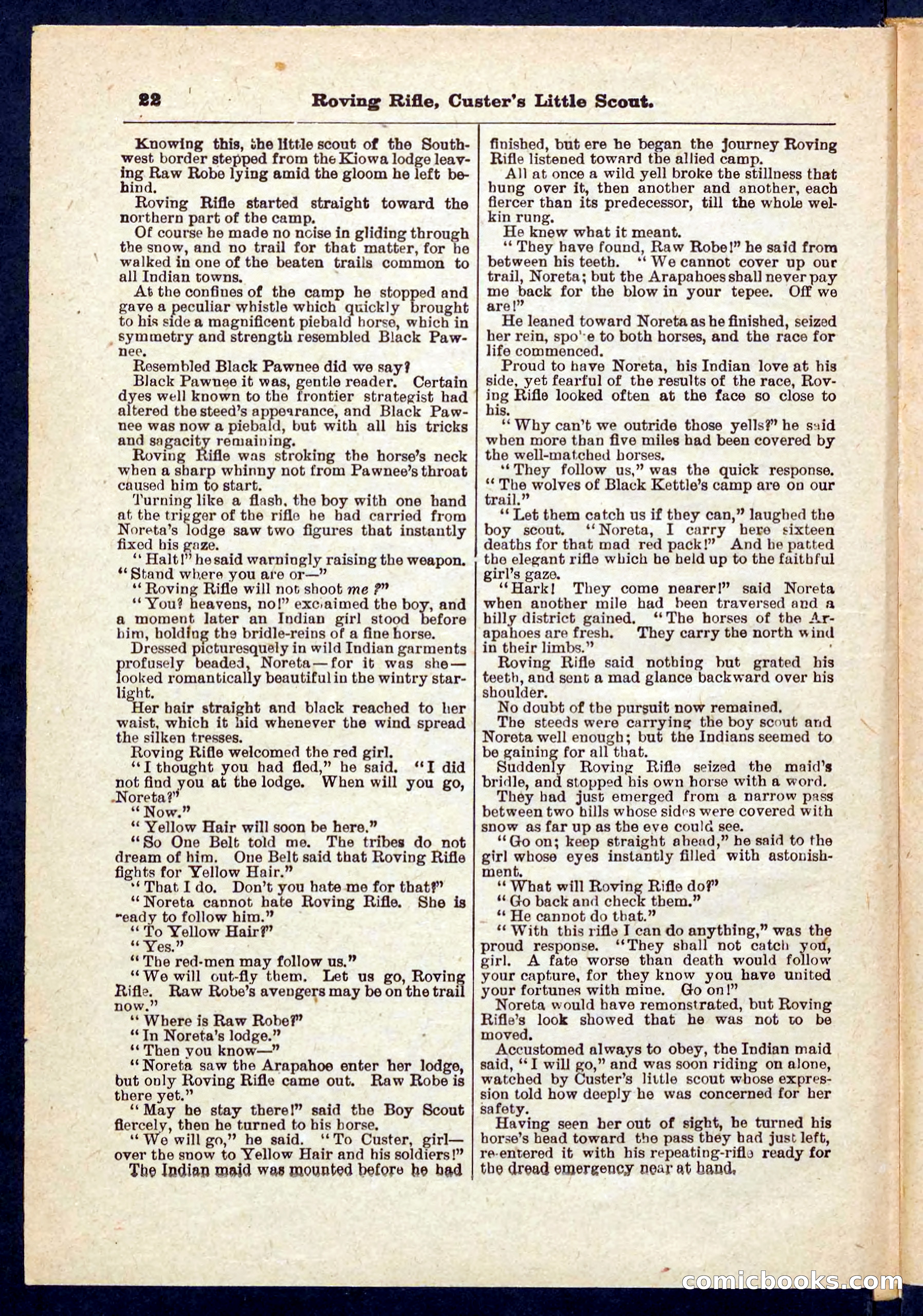 Beadle's Pocket Library No. 471 — page 22 of 32