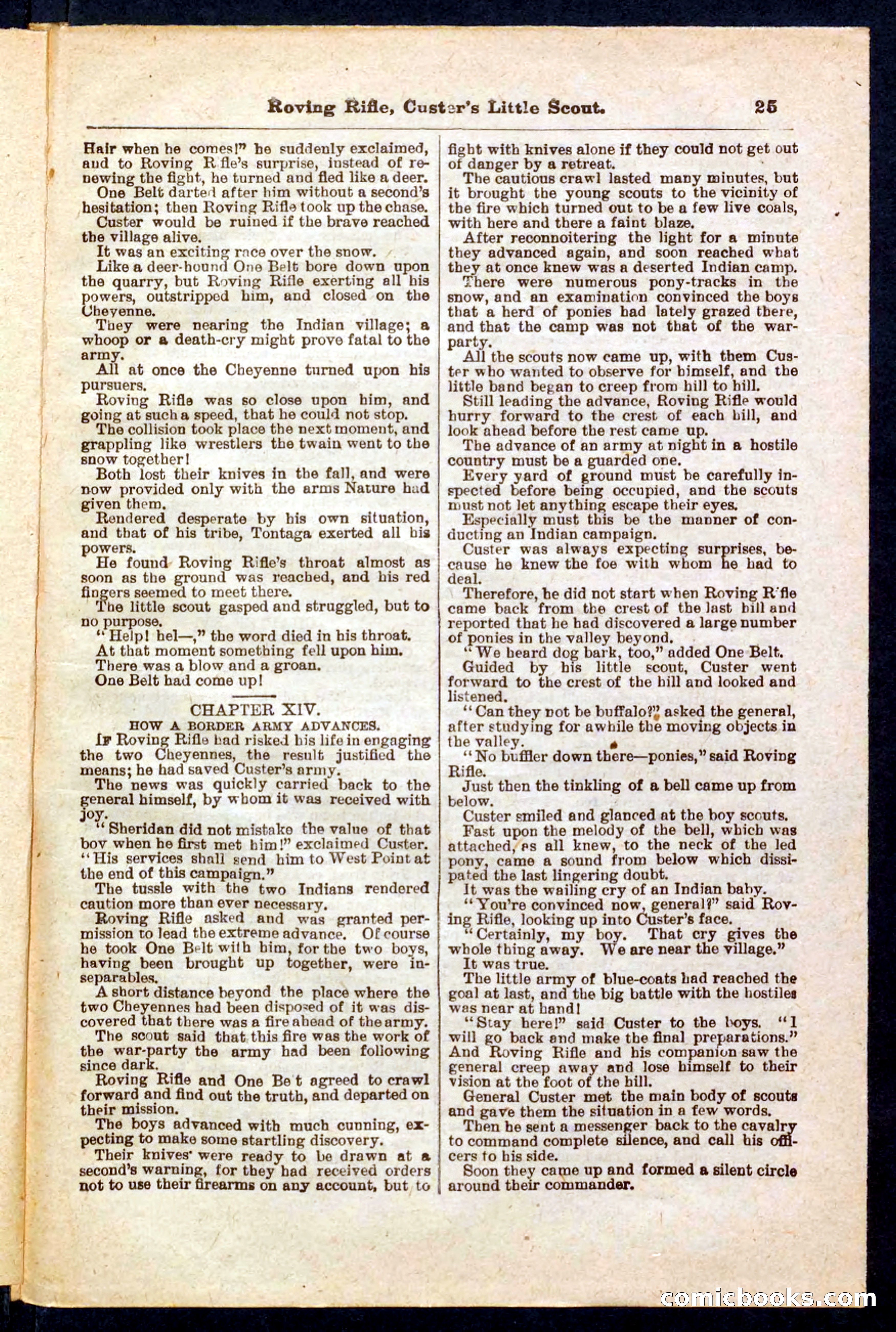 Beadle's Pocket Library No. 471 — page 25 of 32