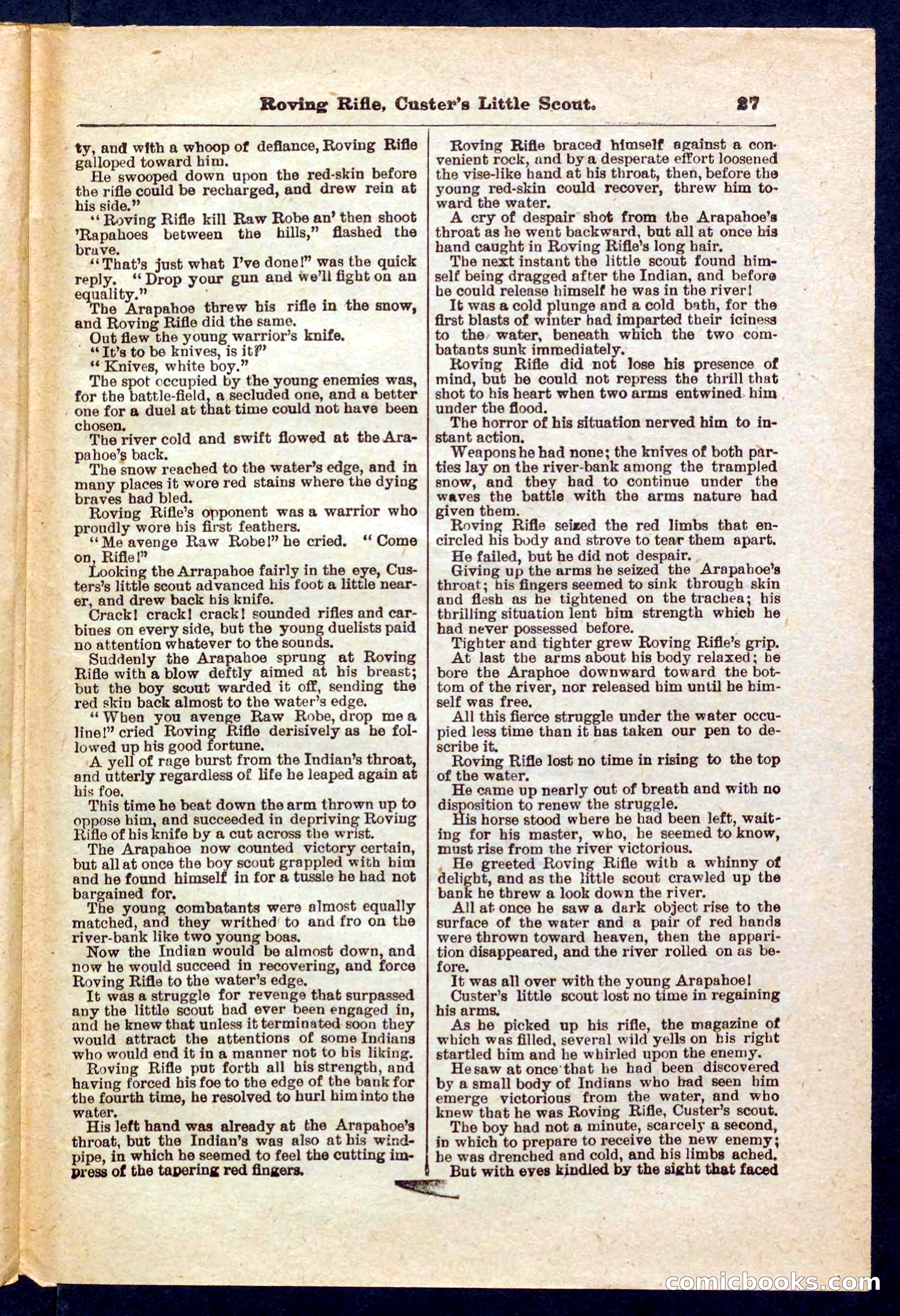 Beadle's Pocket Library No. 471 — page 27 of 32