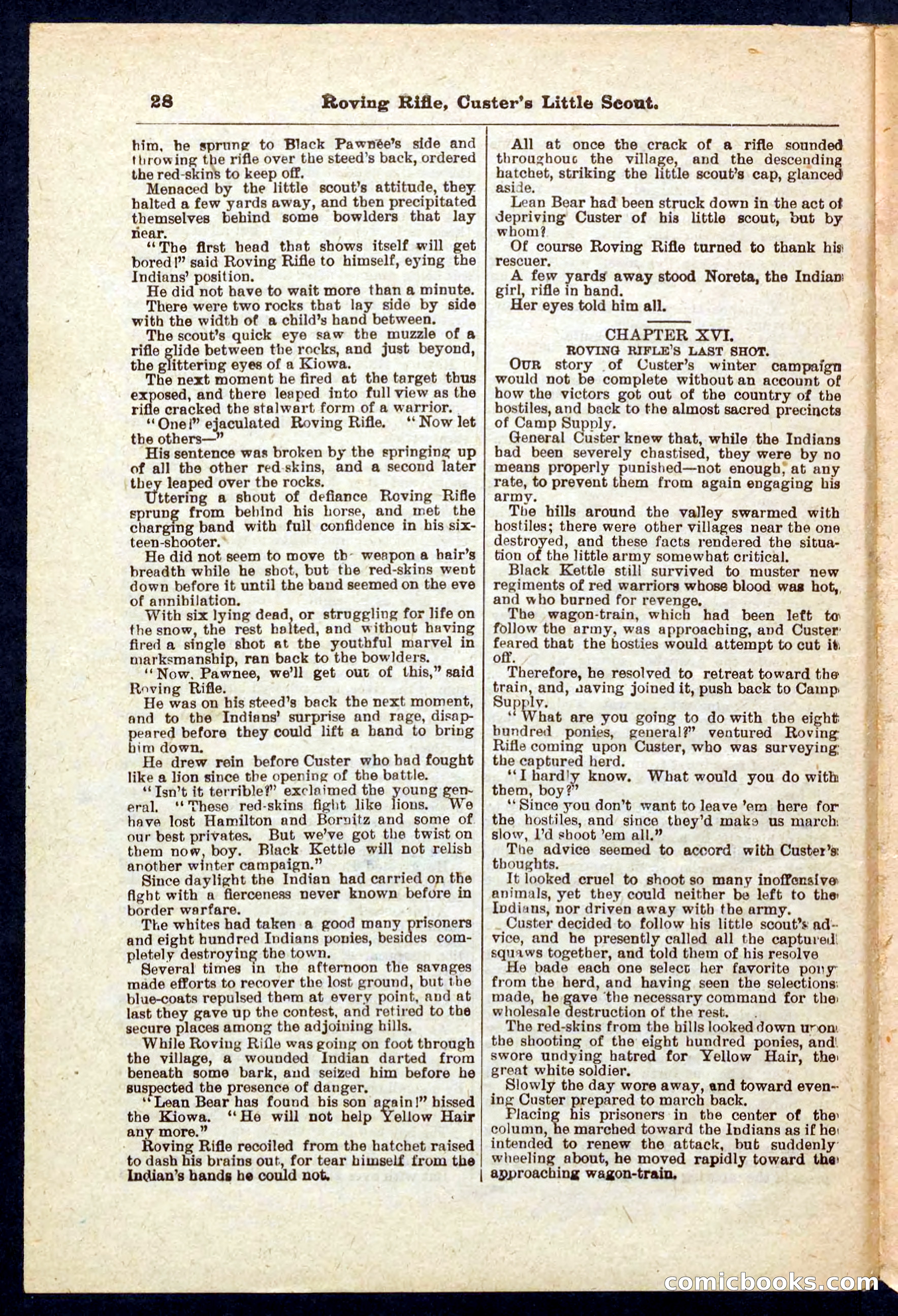 Beadle's Pocket Library No. 471 — page 28 of 32