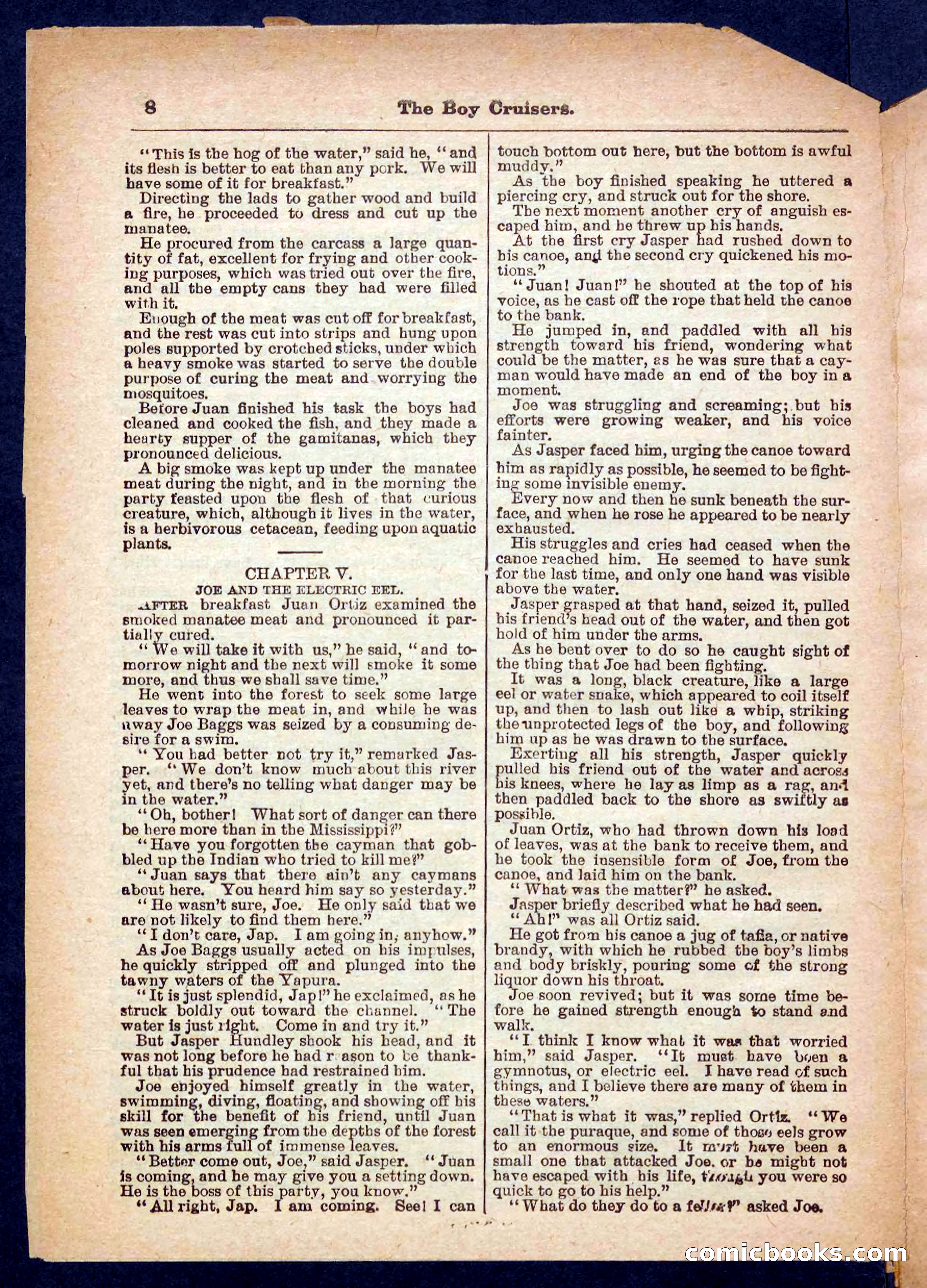 Beadle's Pocket Library No. 472 — page 8 of 32