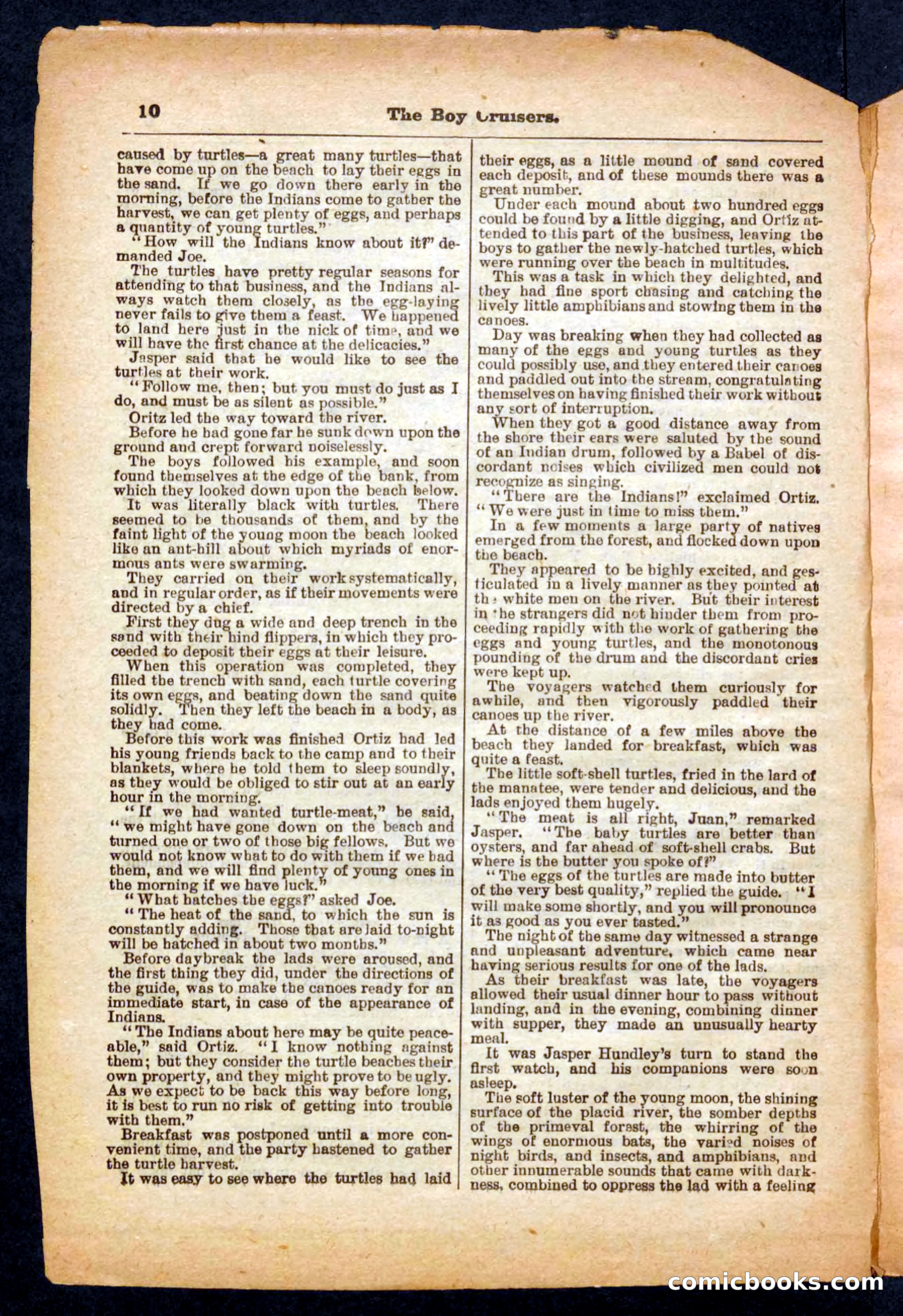 Beadle's Pocket Library No. 472 — page 10 of 32