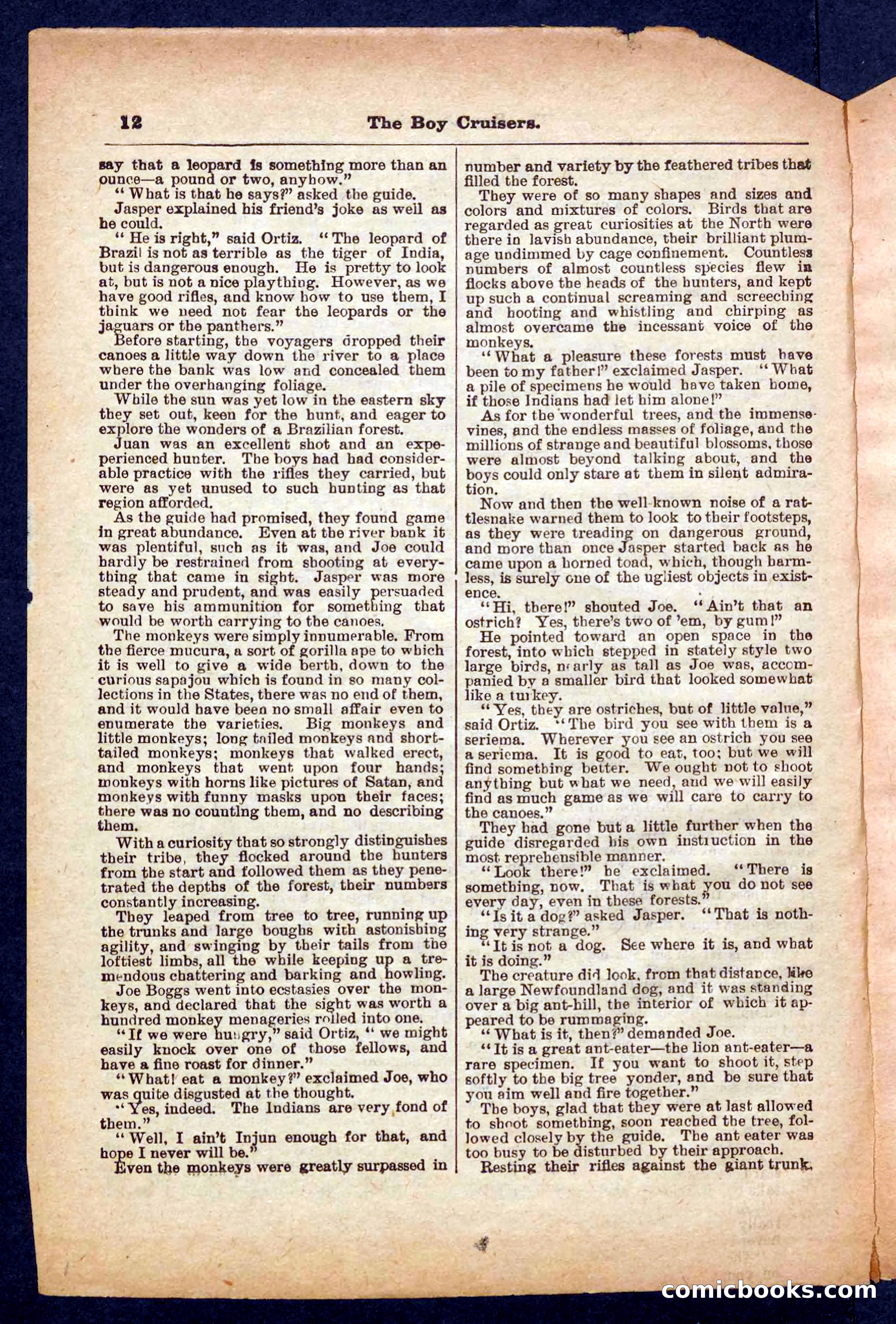 Beadle's Pocket Library No. 472 — page 12 of 32