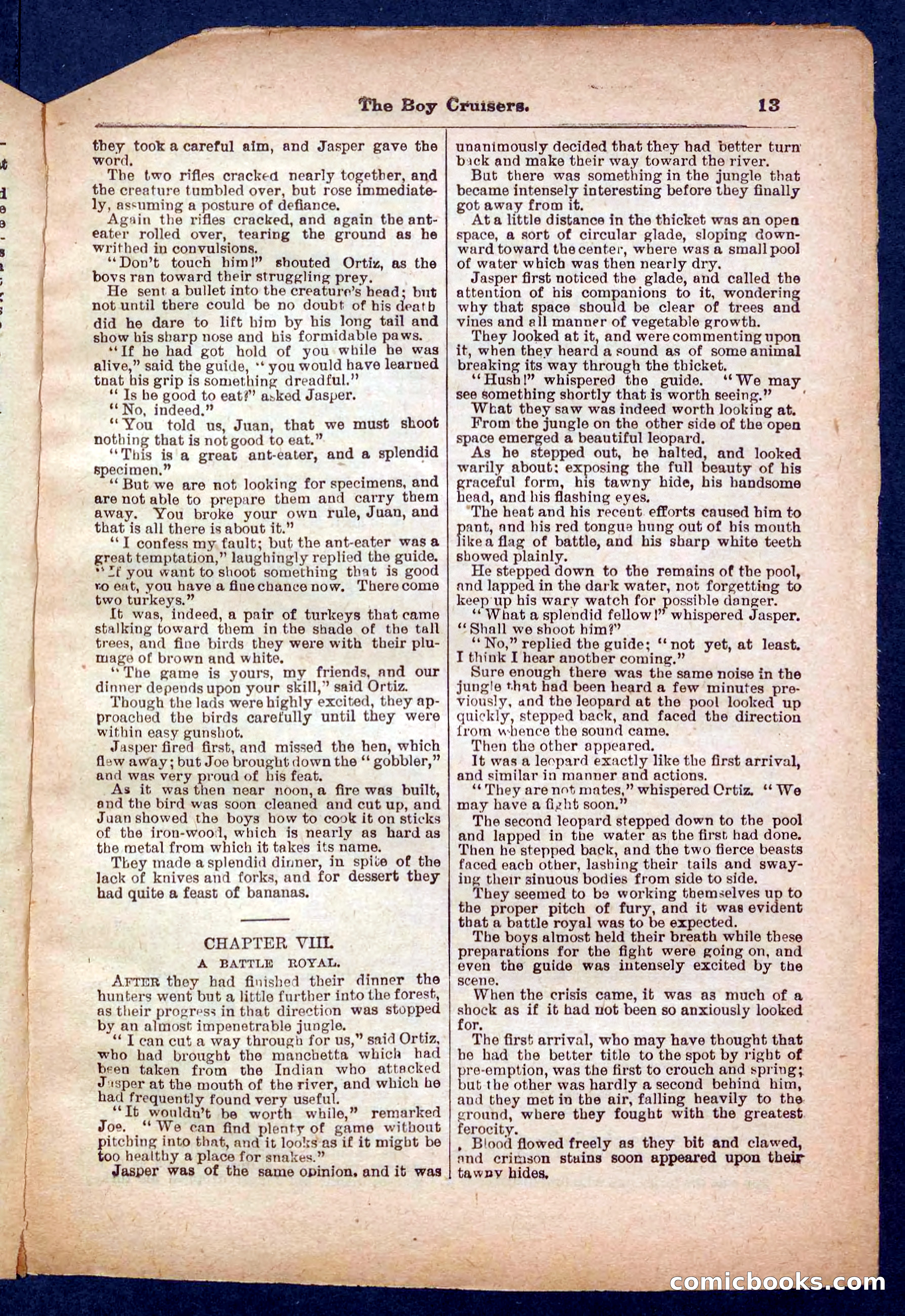 Beadle's Pocket Library No. 472 — page 13 of 32