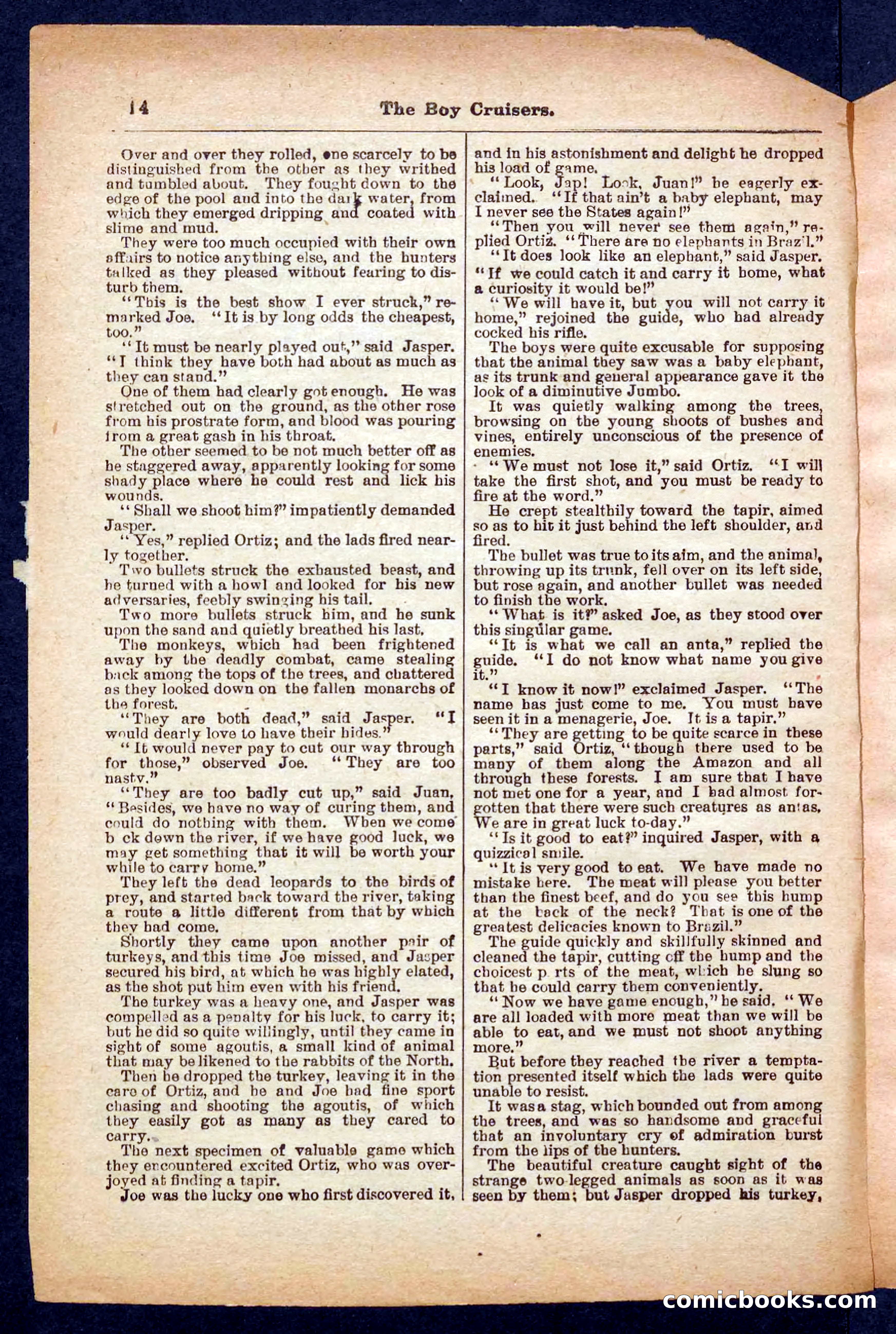 Beadle's Pocket Library No. 472 — page 14 of 32