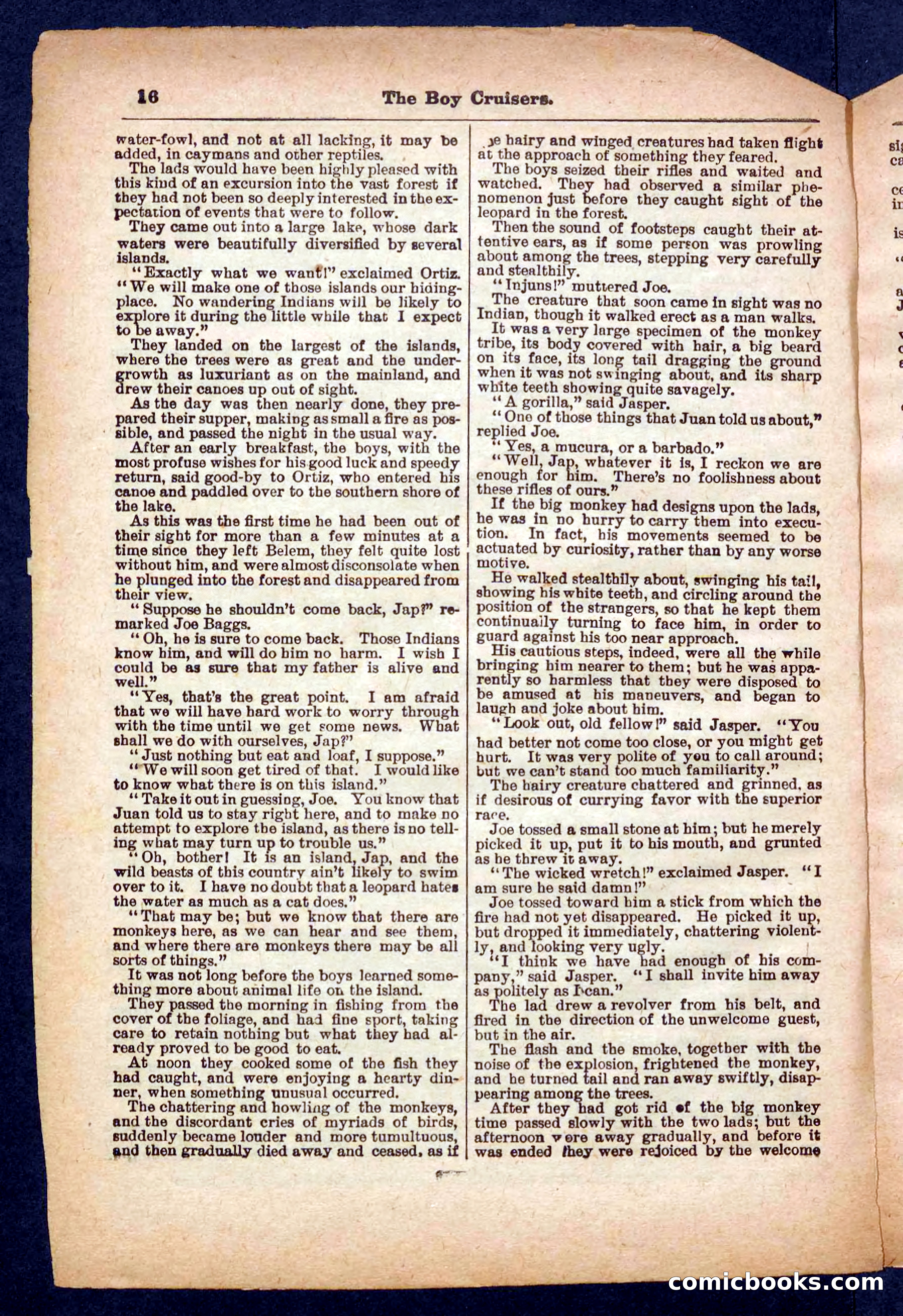 Beadle's Pocket Library No. 472 — page 16 of 32