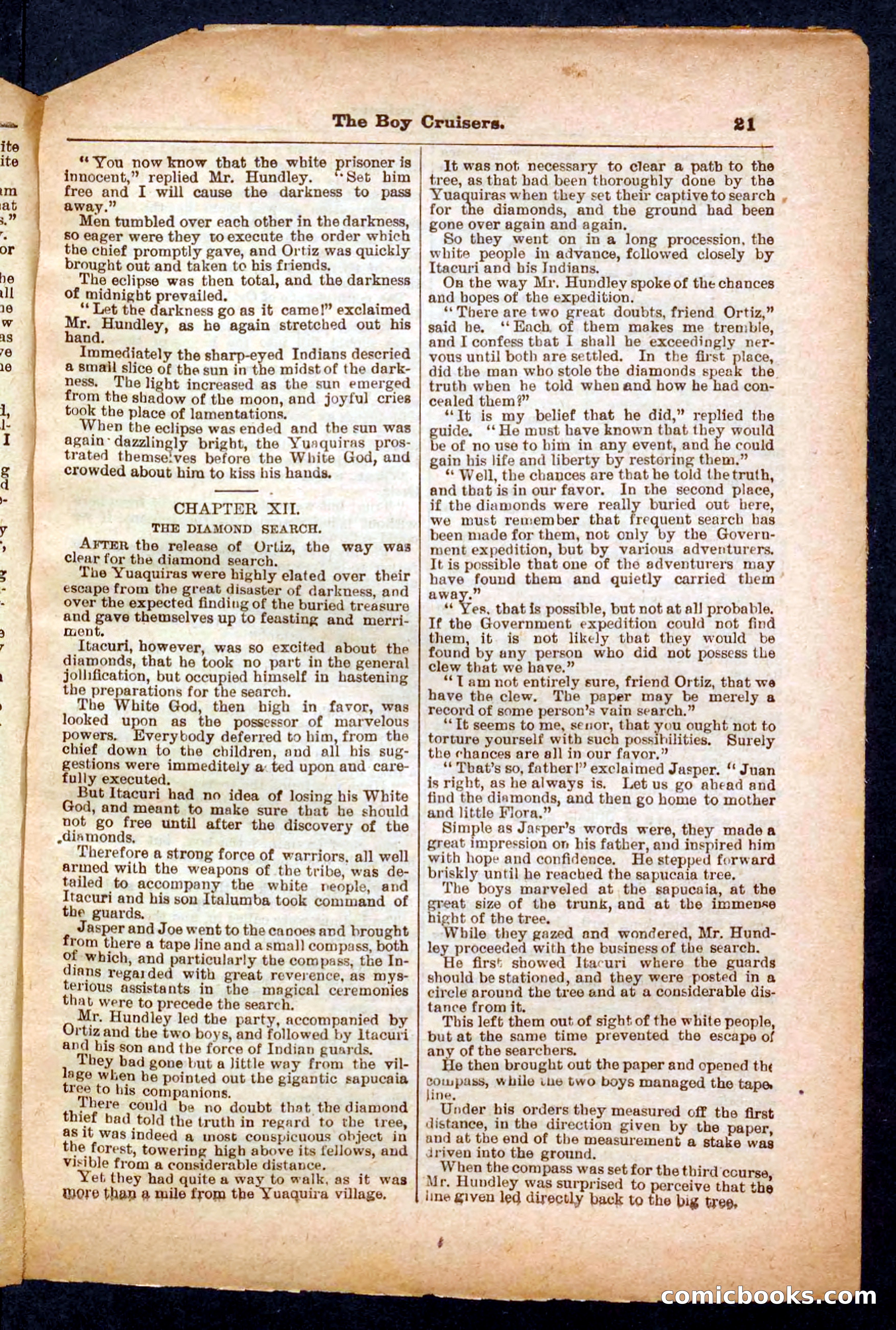 Beadle's Pocket Library No. 472 — page 21 of 32