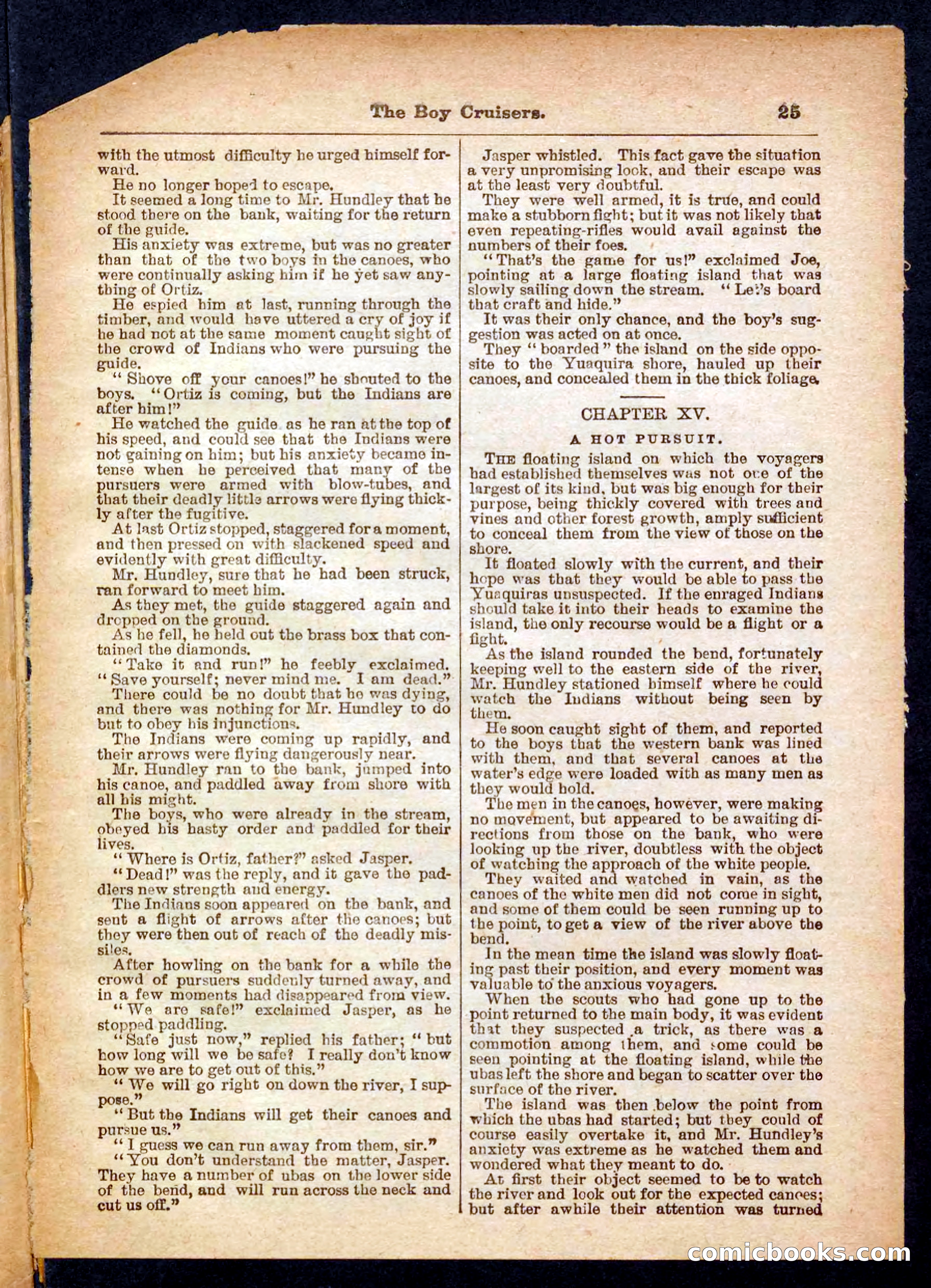 Beadle's Pocket Library No. 472 — page 25 of 32