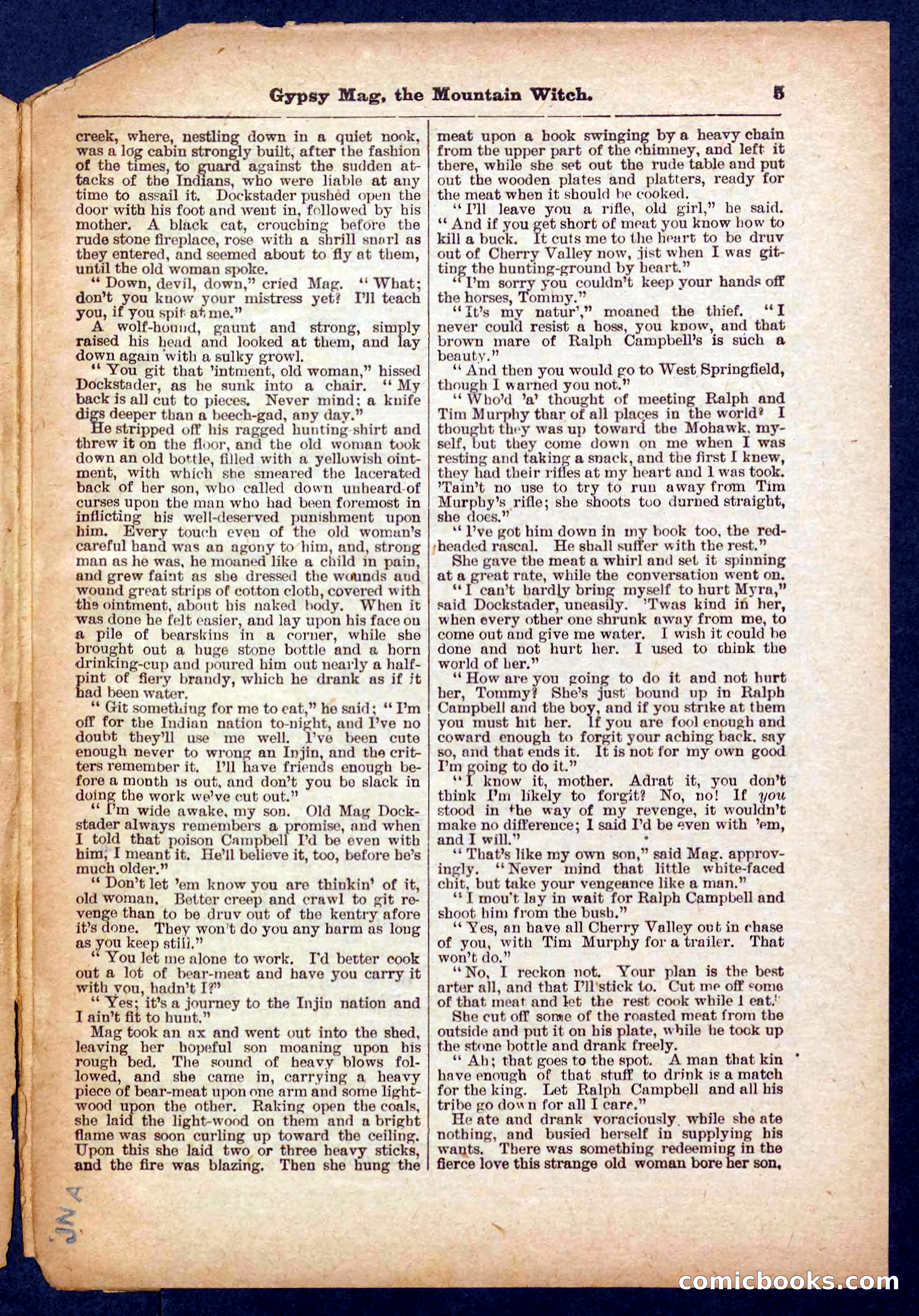 Beadle's Pocket Library No. 474 — page 5 of 32