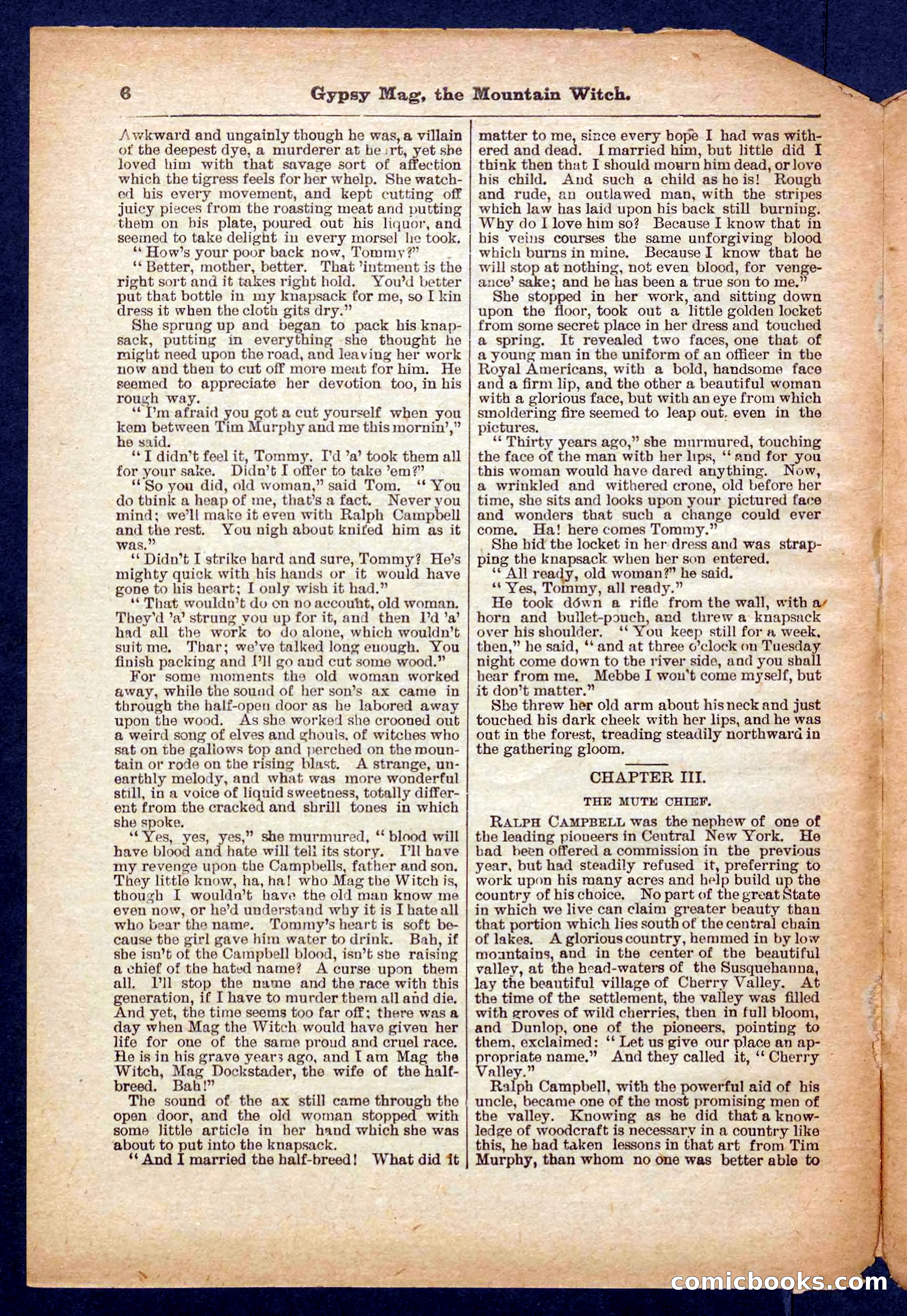 Beadle's Pocket Library No. 474 — page 6 of 32