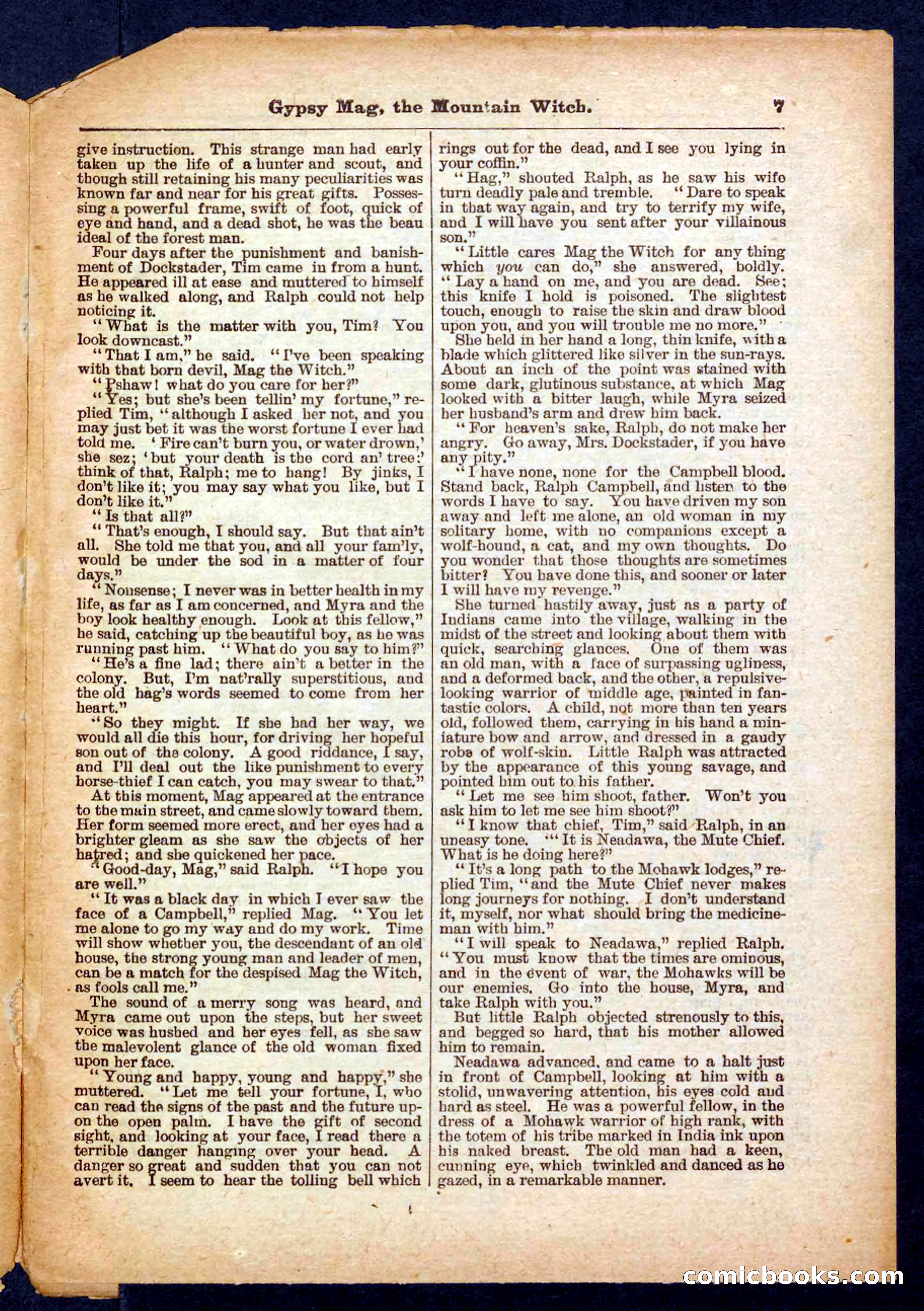Beadle's Pocket Library No. 474 — page 7 of 32