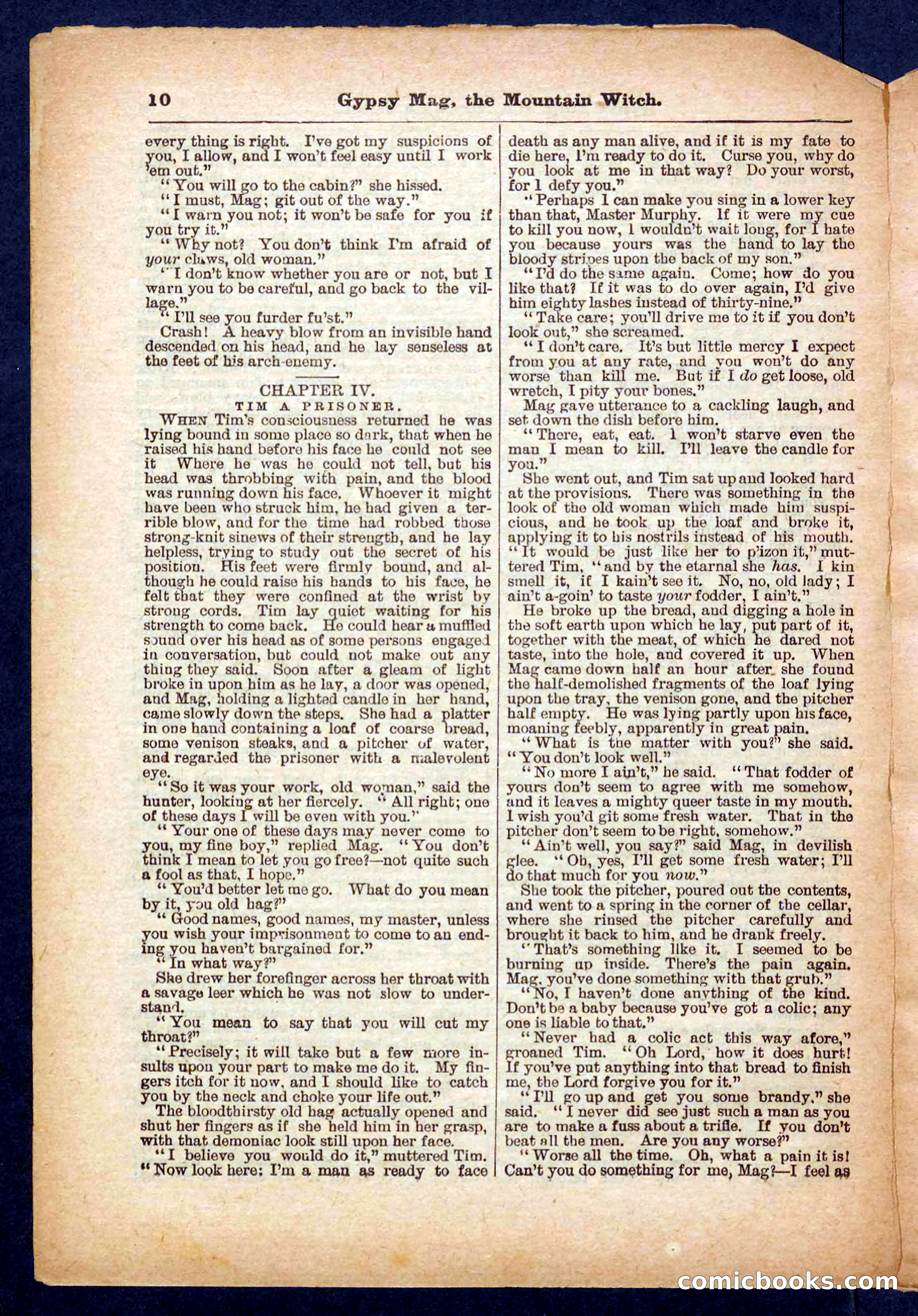Beadle's Pocket Library No. 474 — page 10 of 32