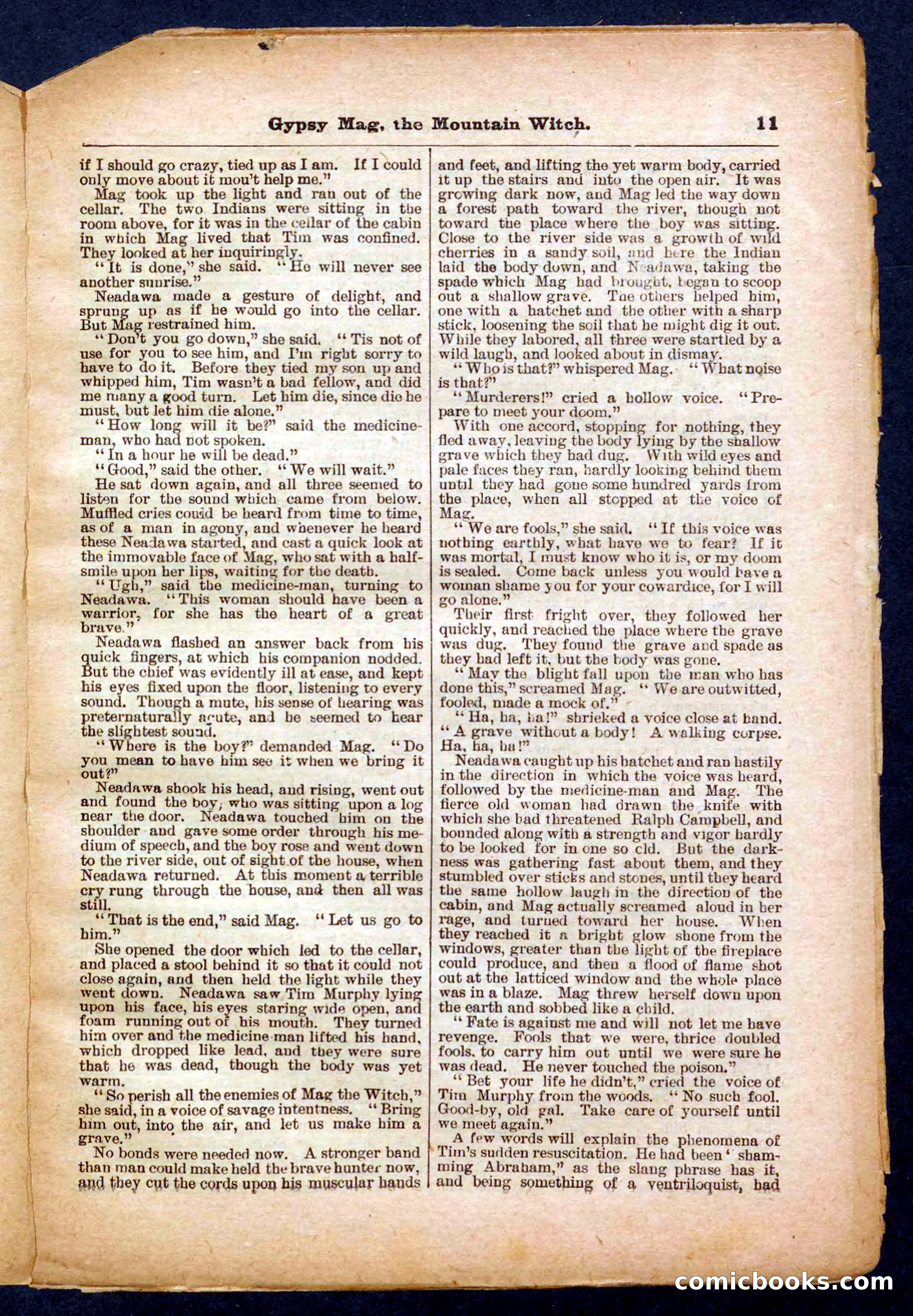 Beadle's Pocket Library No. 474 — page 11 of 32