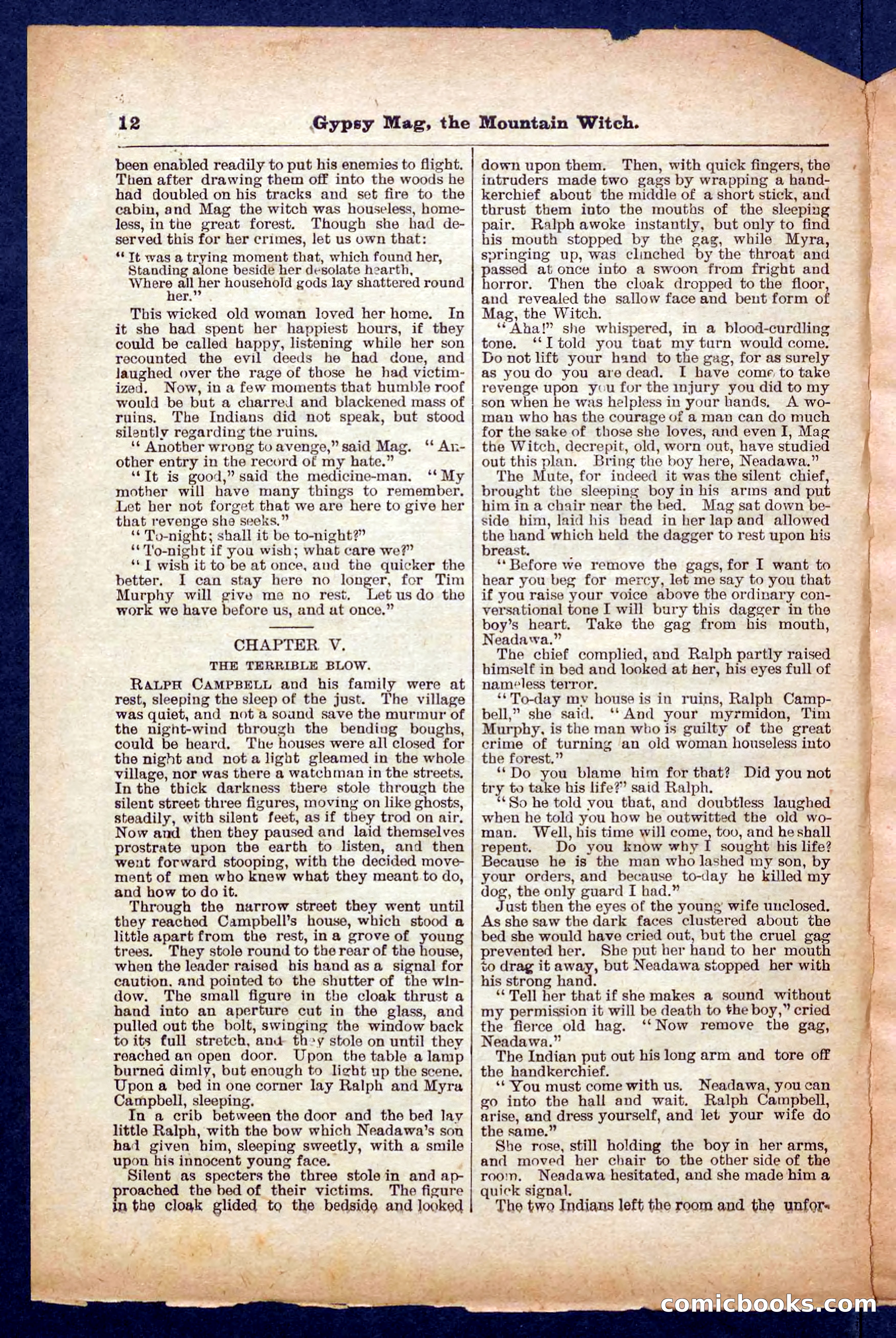 Beadle's Pocket Library No. 474 — page 12 of 32