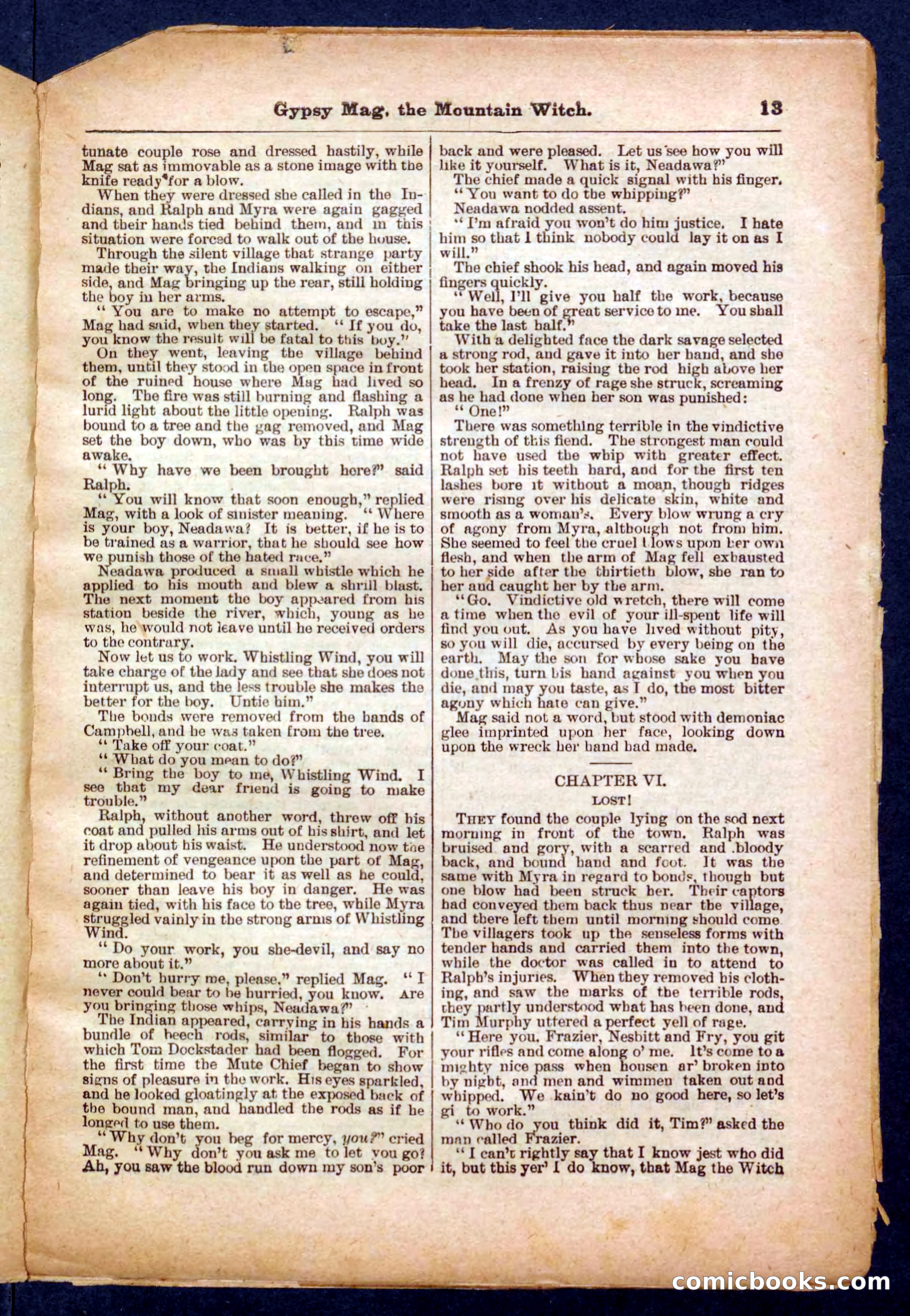 Beadle's Pocket Library No. 474 — page 13 of 32
