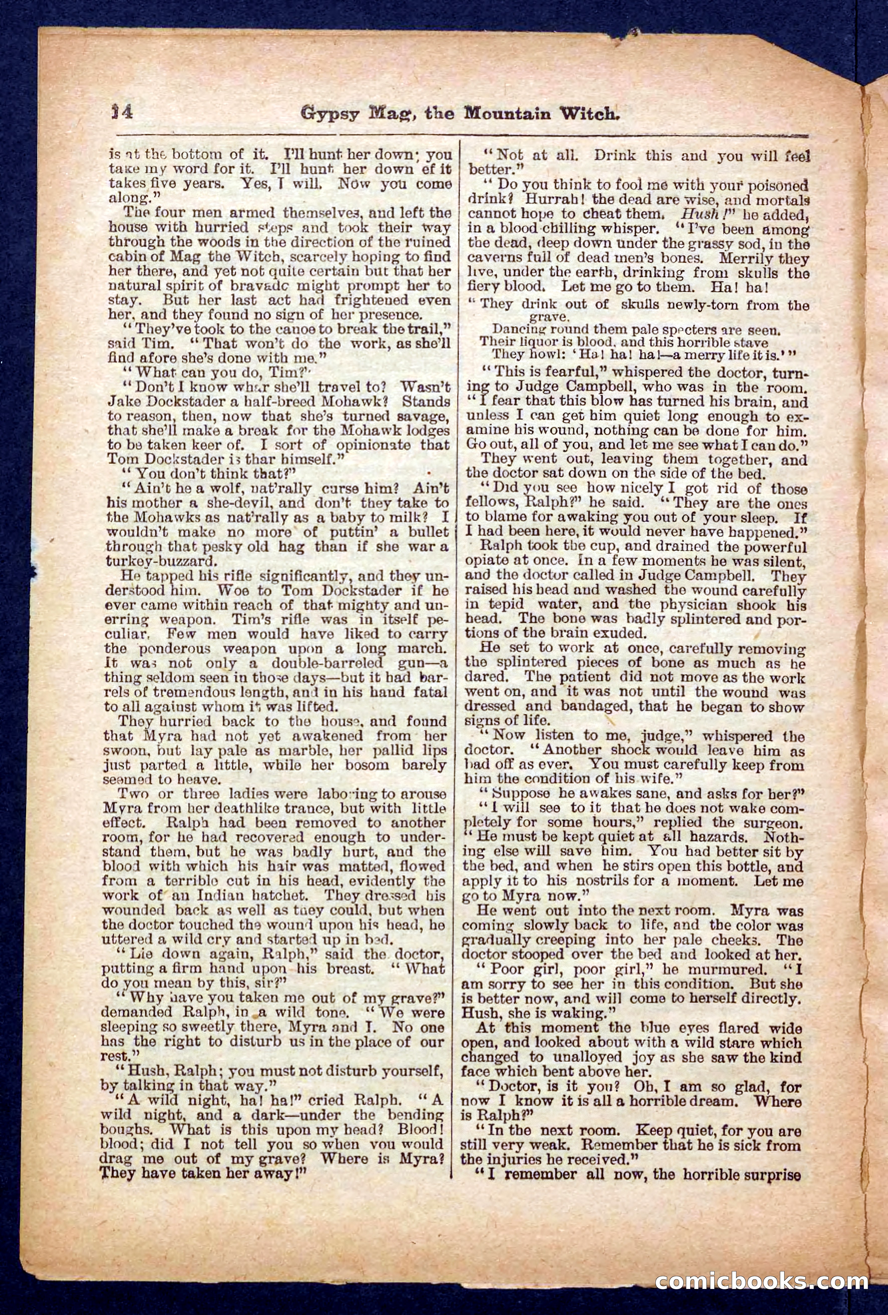 Beadle's Pocket Library No. 474 — page 14 of 32