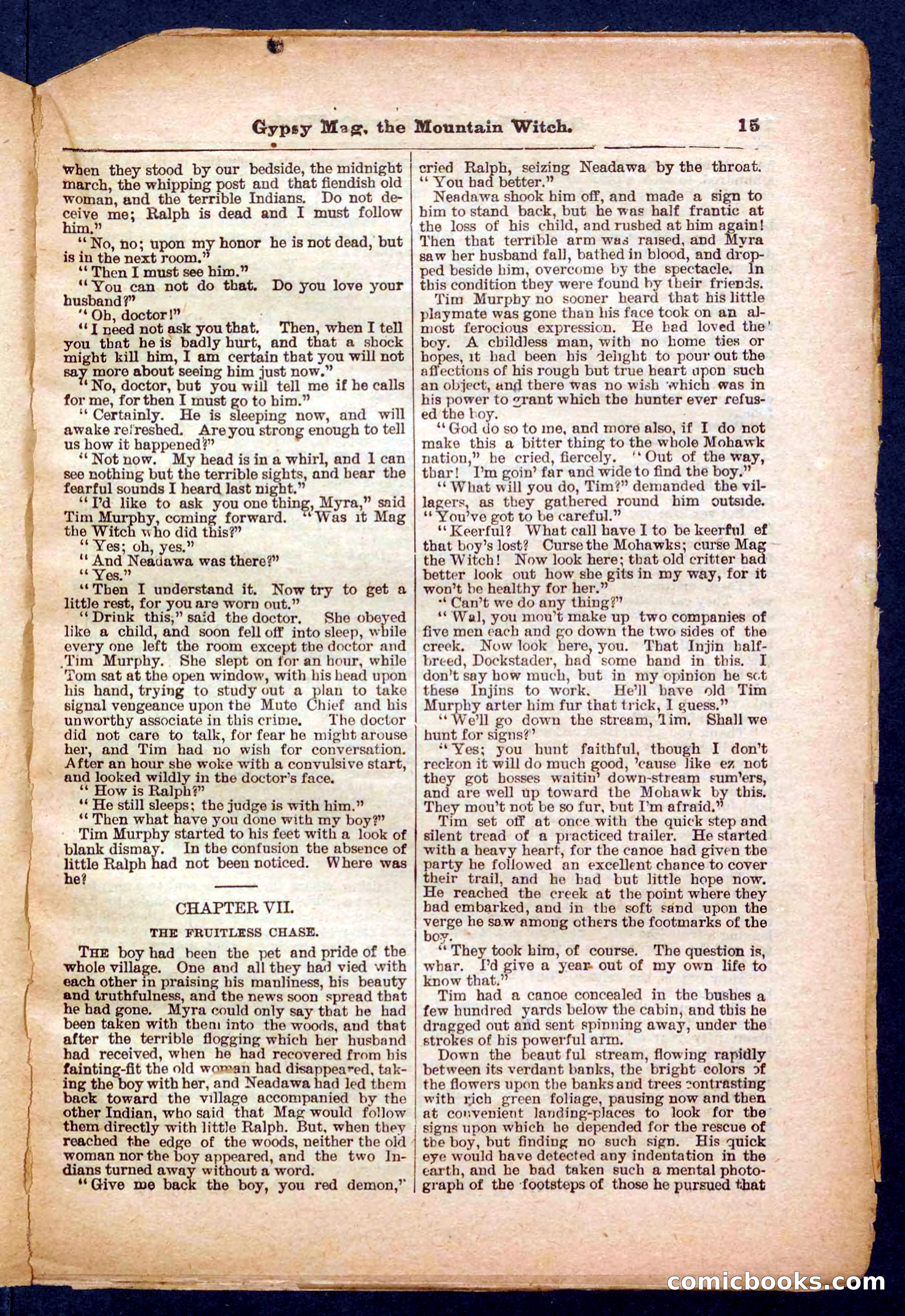 Beadle's Pocket Library No. 474 — page 15 of 32