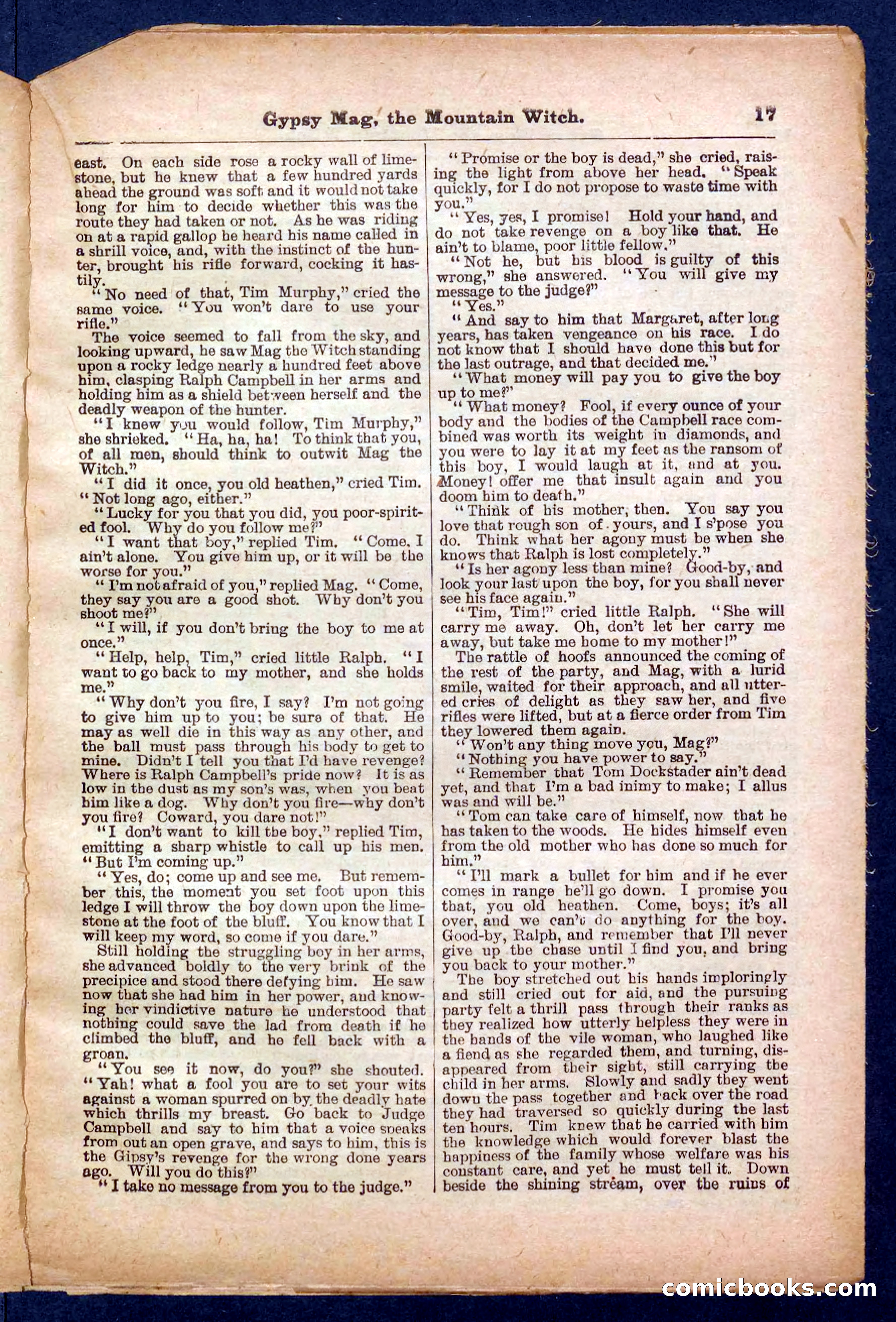 Beadle's Pocket Library No. 474 — page 17 of 32