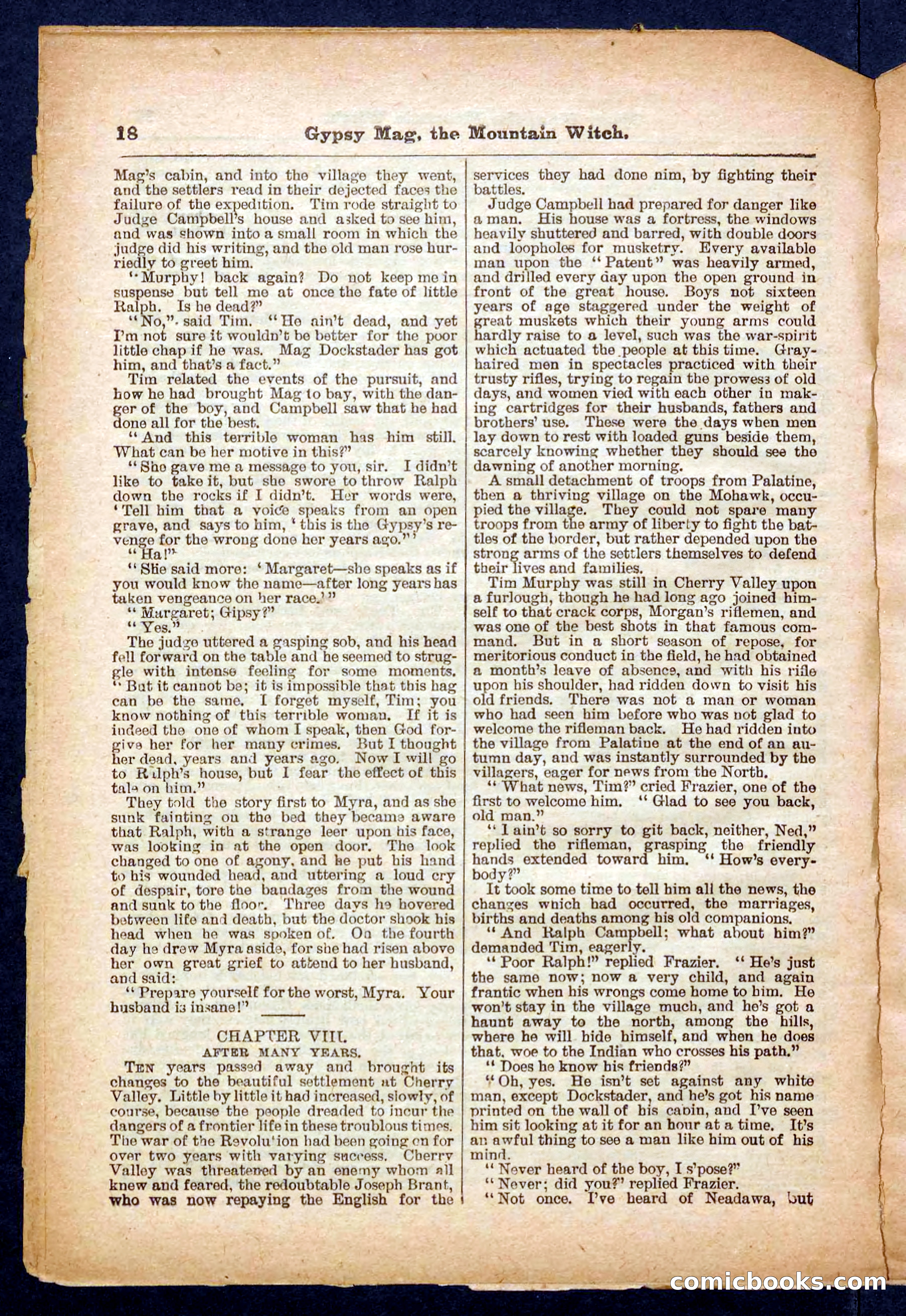Beadle's Pocket Library No. 474 — page 18 of 32